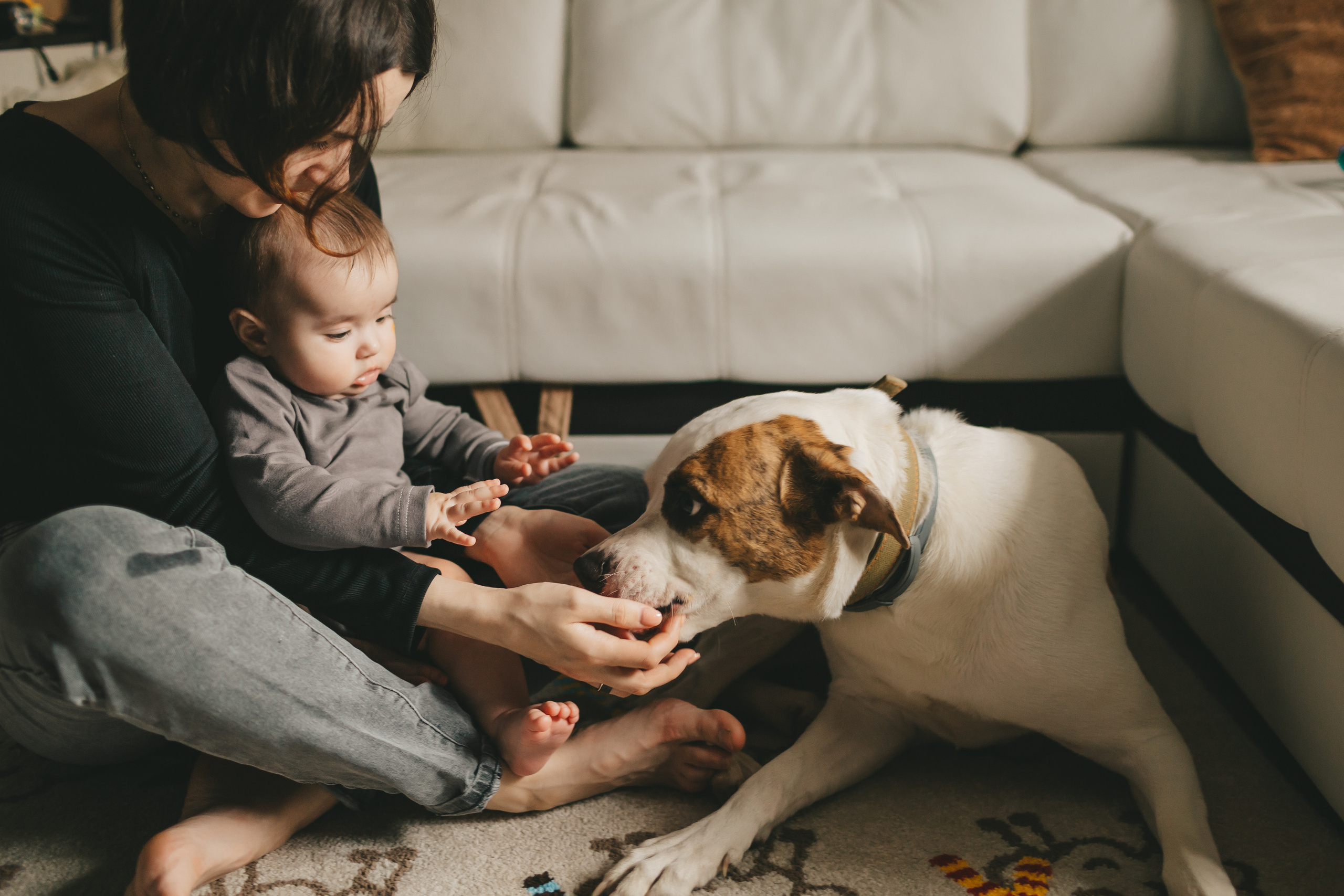 Аня и Алиса (домашняя фотосессия). Семейный и детский фотограф и видеограф в Москве, Дрокина Наталья