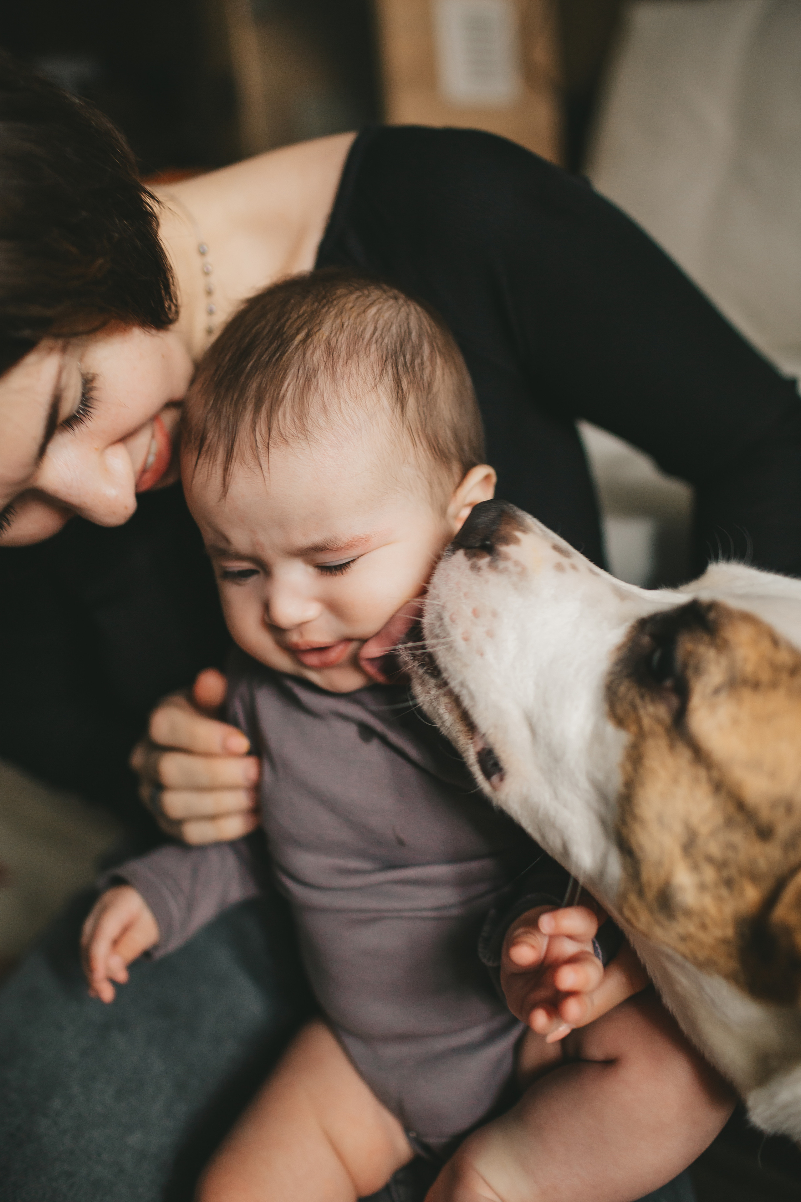 собака лижет ребенка в щеку