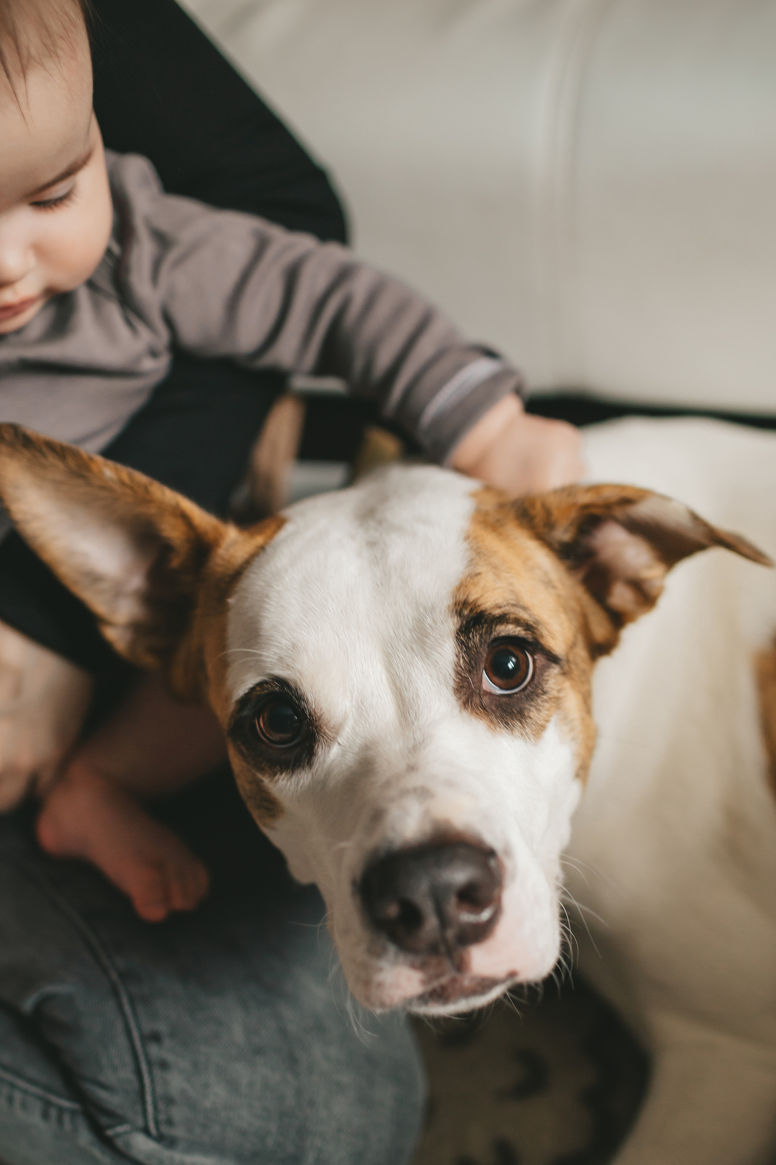 Аня и Алиса (домашняя фотосессия). Семейный и детский фотограф и видеограф в Москве, Дрокина Наталья