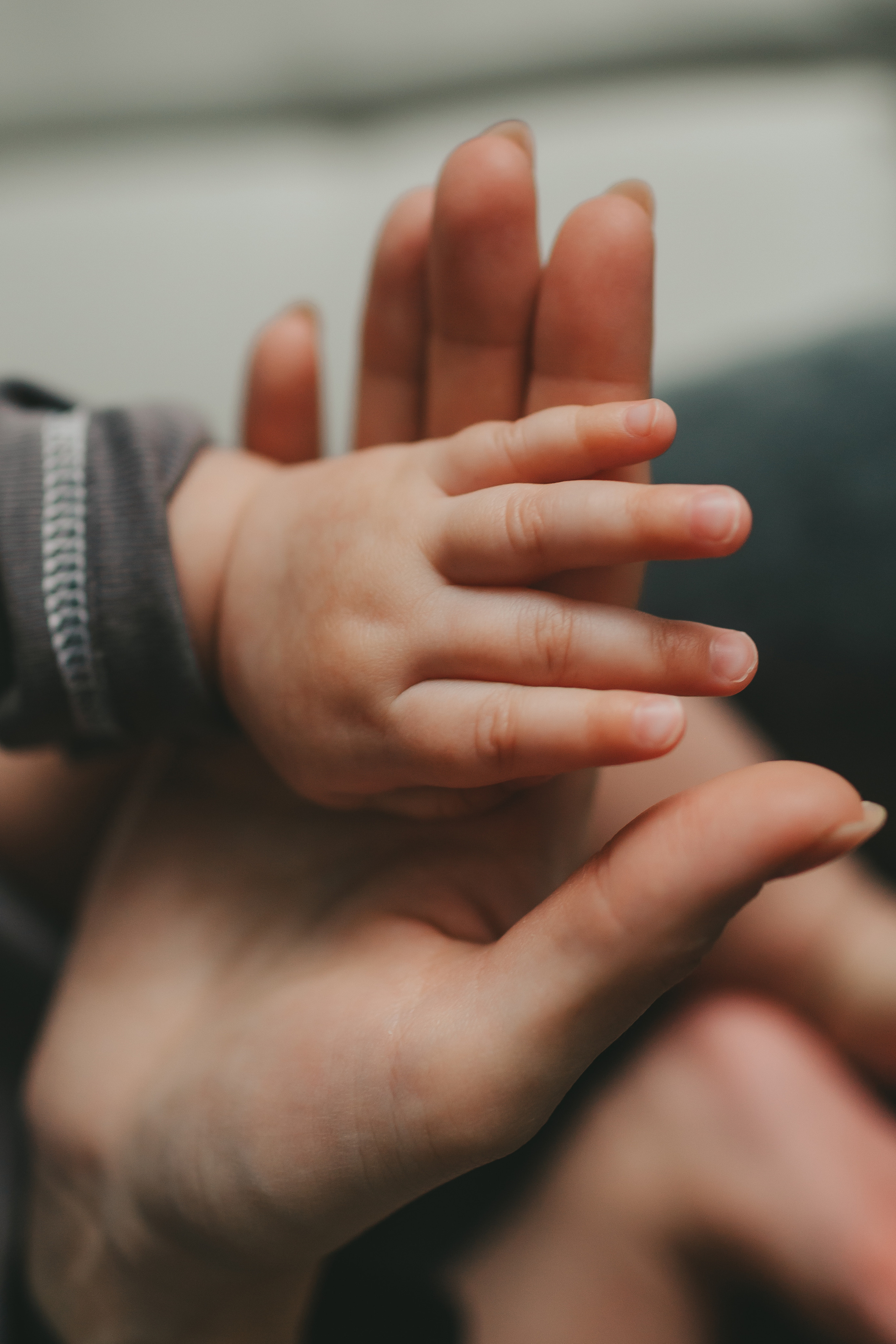 Аня и Алиса (домашняя фотосессия). Семейный и детский фотограф и видеограф в Москве, Дрокина Наталья