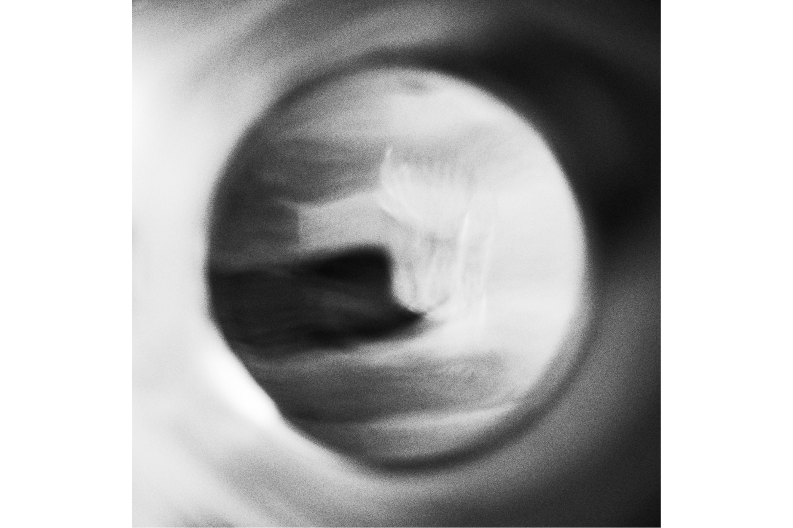 Дощечки. Полиптихи разных лет. Артём Линейцев, фотограф