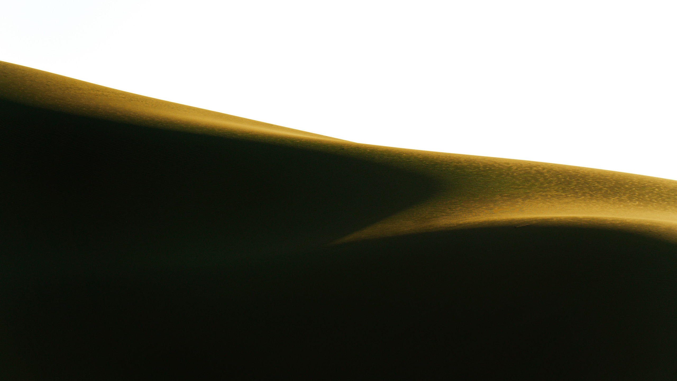 Бархан Сарыкум, Дагестан