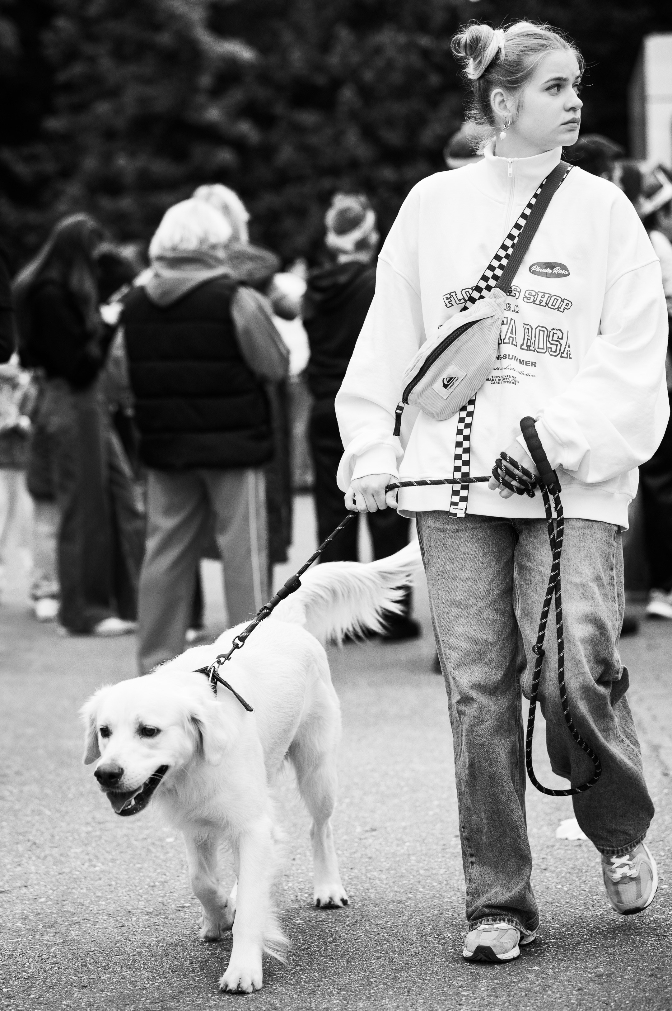 4lapy fest 2025. Photographer in Moscow Anna Chistiakova