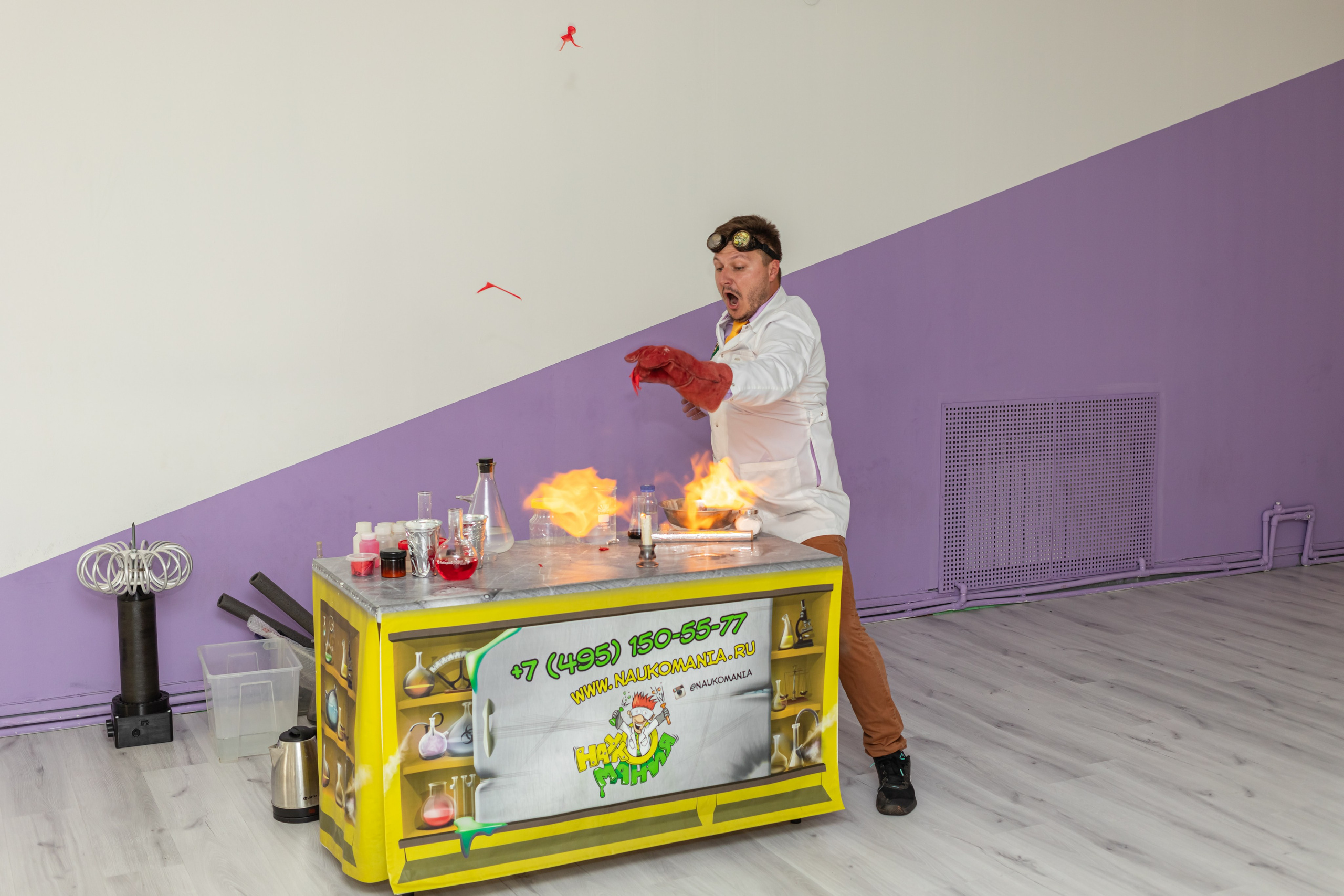 Открытие студии Клевер. Фотограф Алина Гашникова