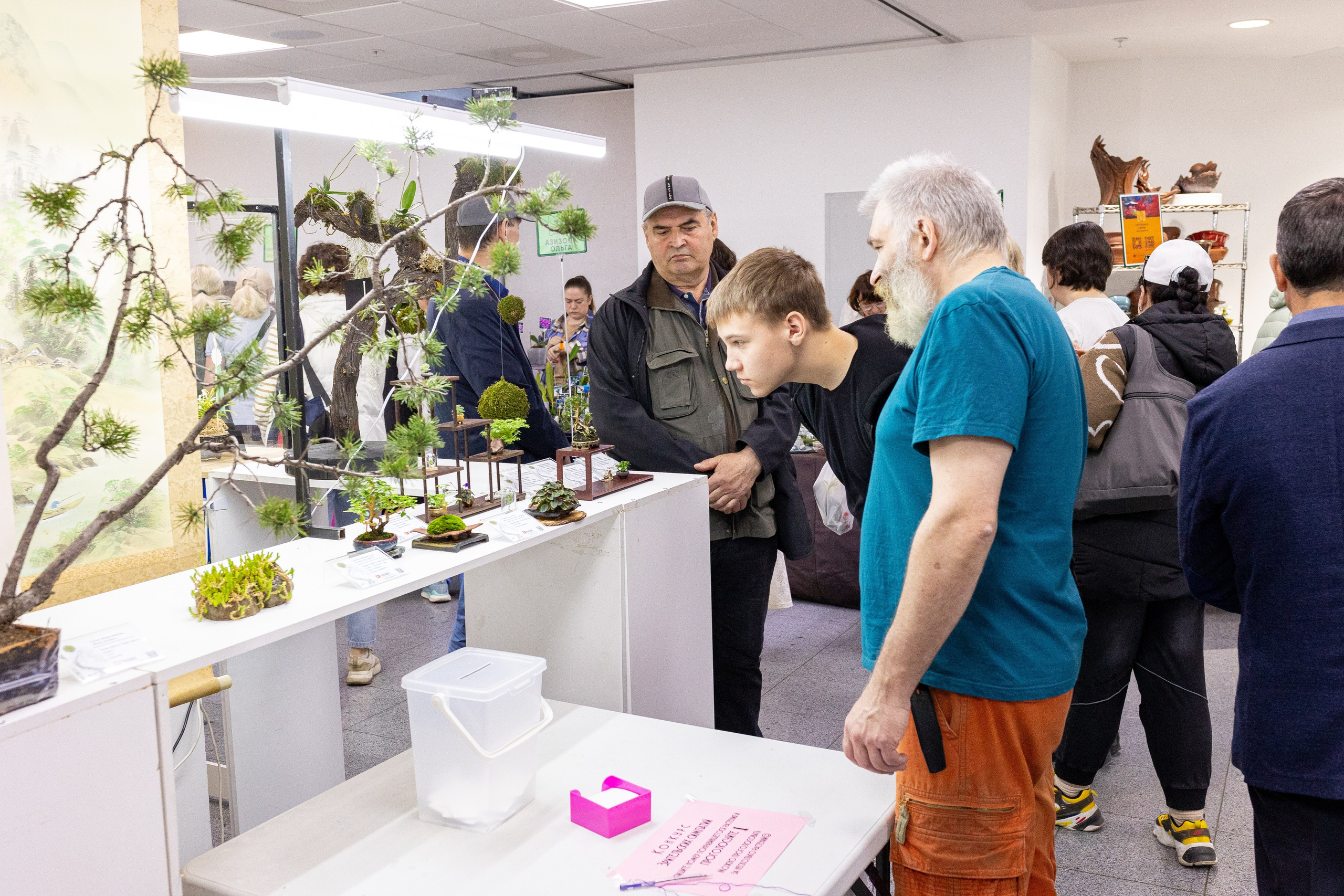 Орхидиум май 2025. Александра Куликова фотограф, Москва