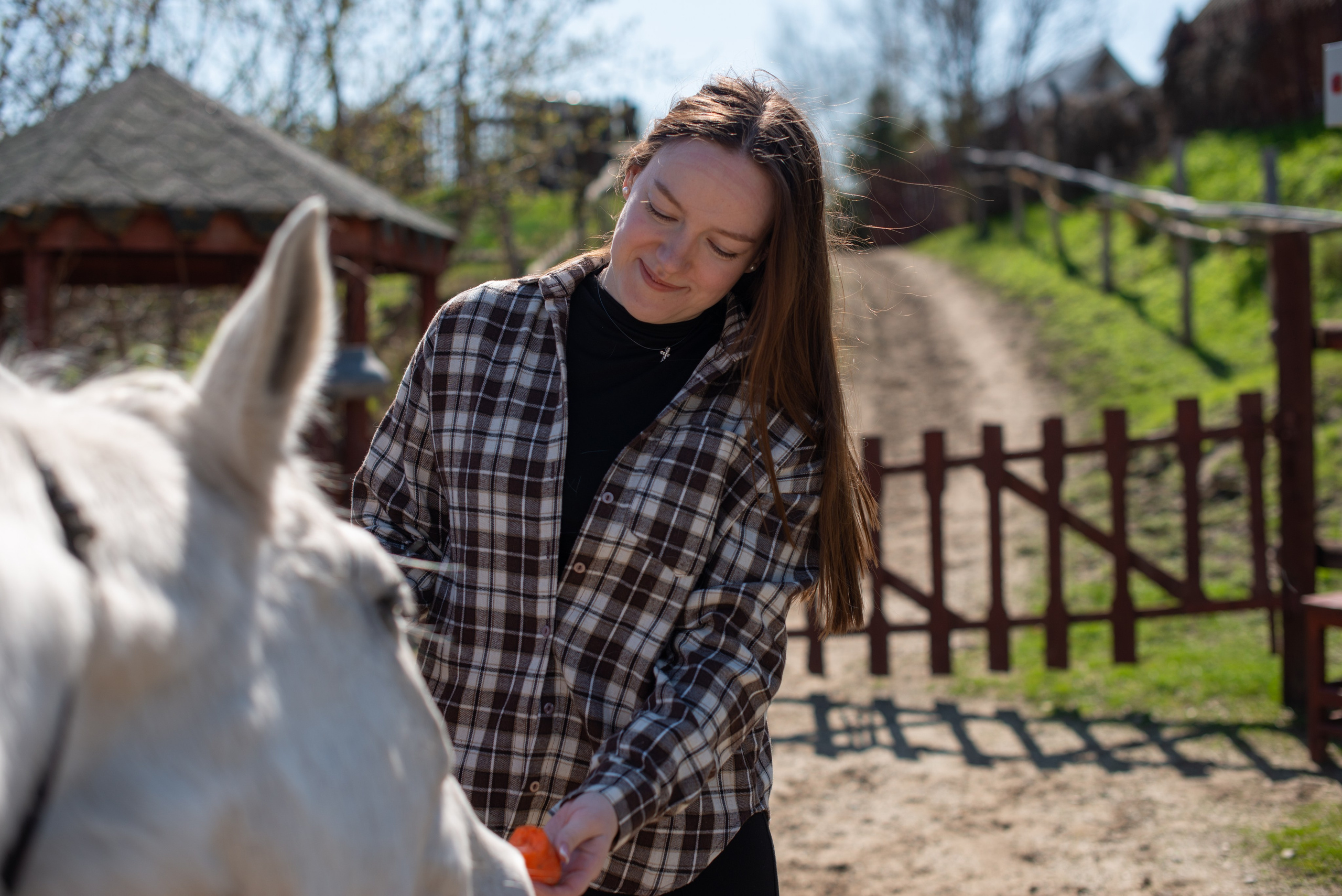 Прогулка. Конный фотограф в Саратове Юлия Иванова