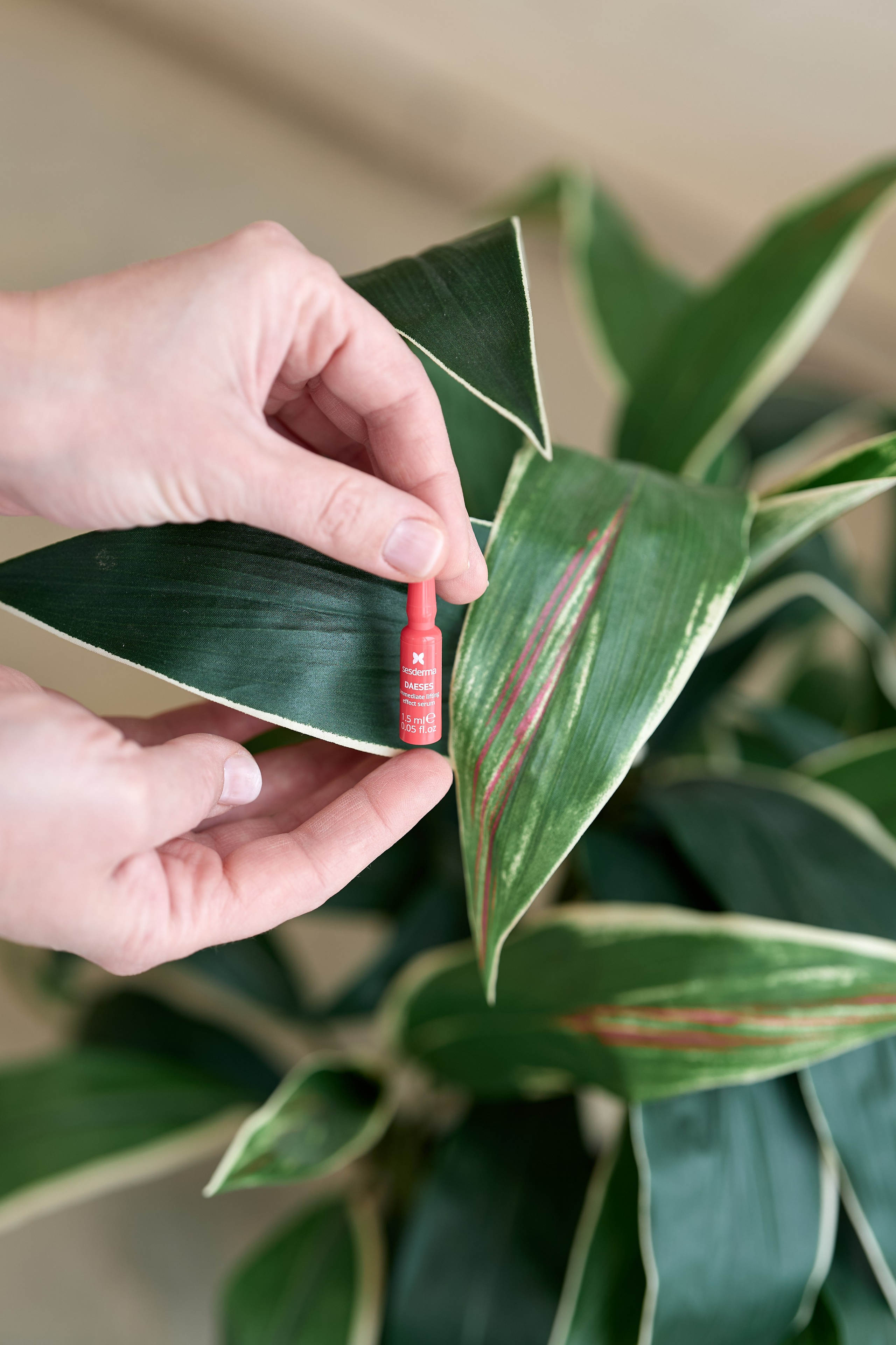 Контент. Семейный и женский фотограф в Москве Зоя Бучерова