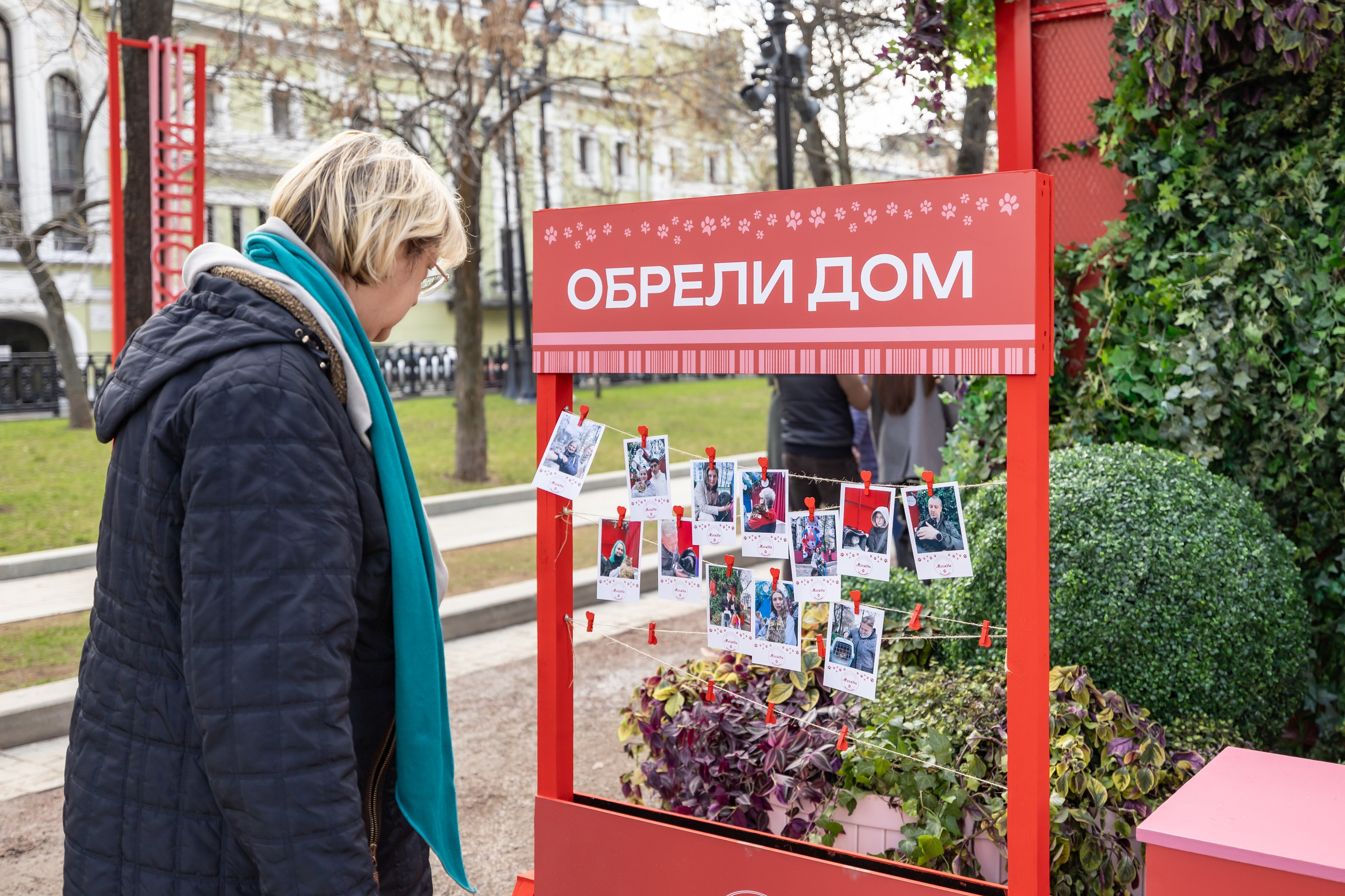 Проект «Моспитомец» на Тверском бульваре. Фотограф Владимир Охрименко