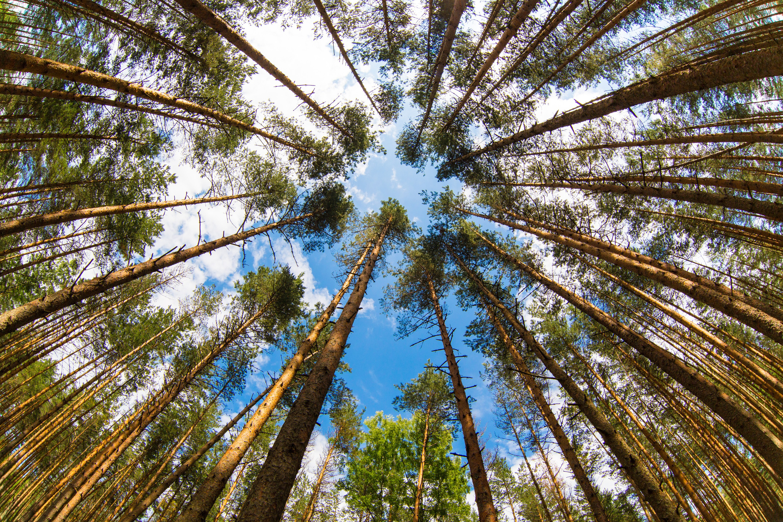 Псковщина. Пейзажи Крайнего Севера. Баренцево море, Рыбачий, Средний, Немецкий