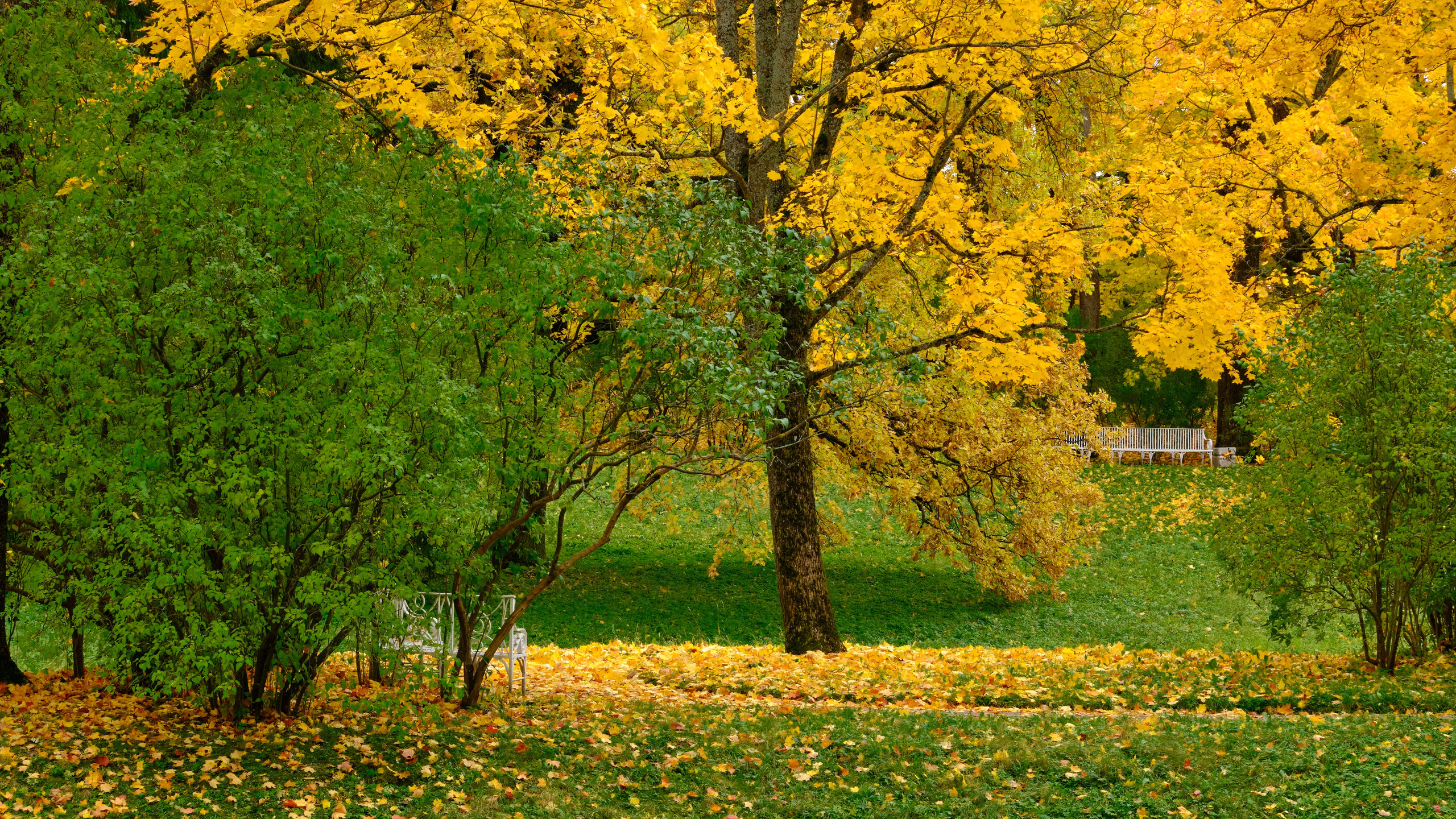 Времена года. Пейзажи Крайнего Севера. Баренцево море, Рыбачий, Средний, Немецкий
