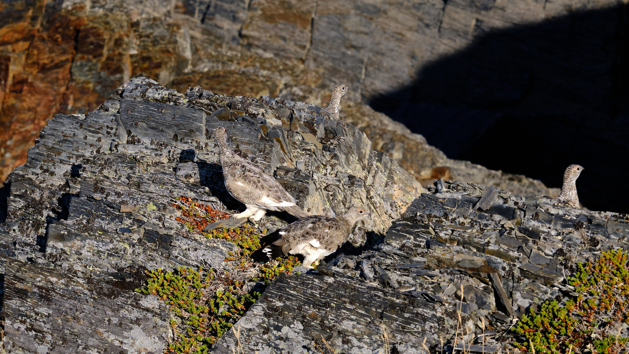 Баренцево море. Пейзажи Крайнего Севера. Баренцево море, Рыбачий, Средний, Немецкий