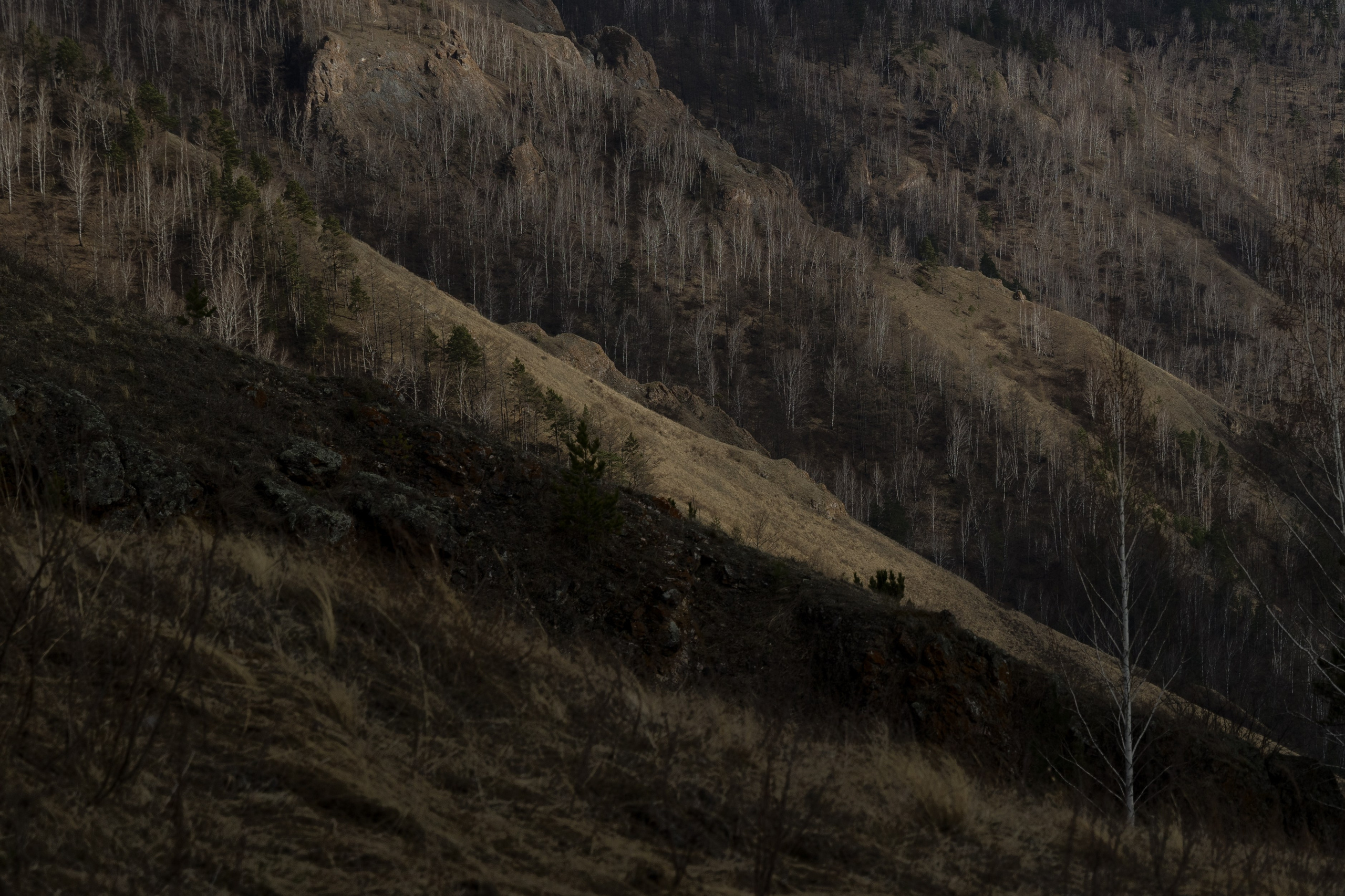 Красноярск. Портретный и уличный фотограф в Москве Таня Корнеева