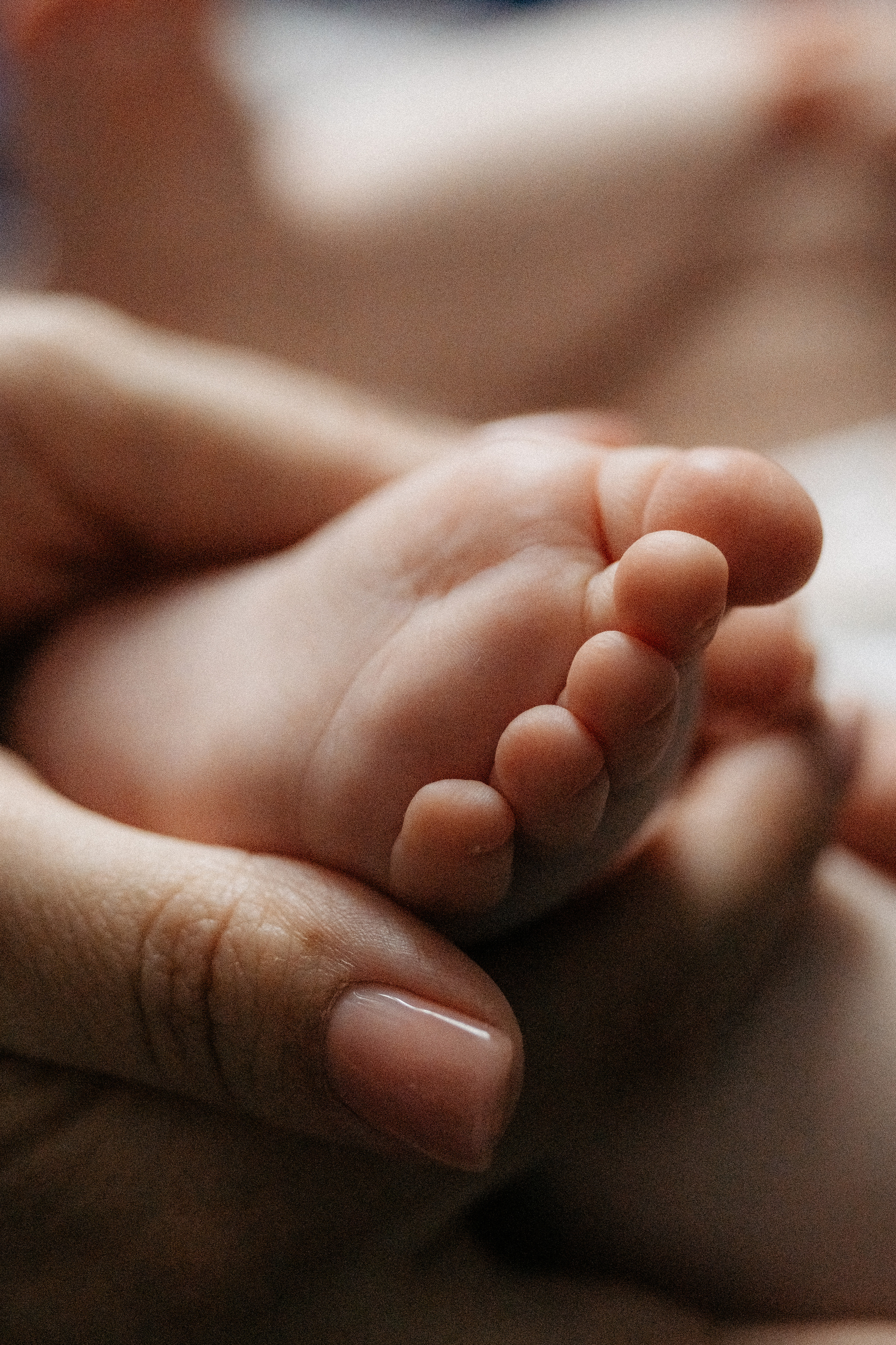 Мир, в котором мы живём. Семейный и детский фотограф из Москвы, Щёлково Герасимова Вероника