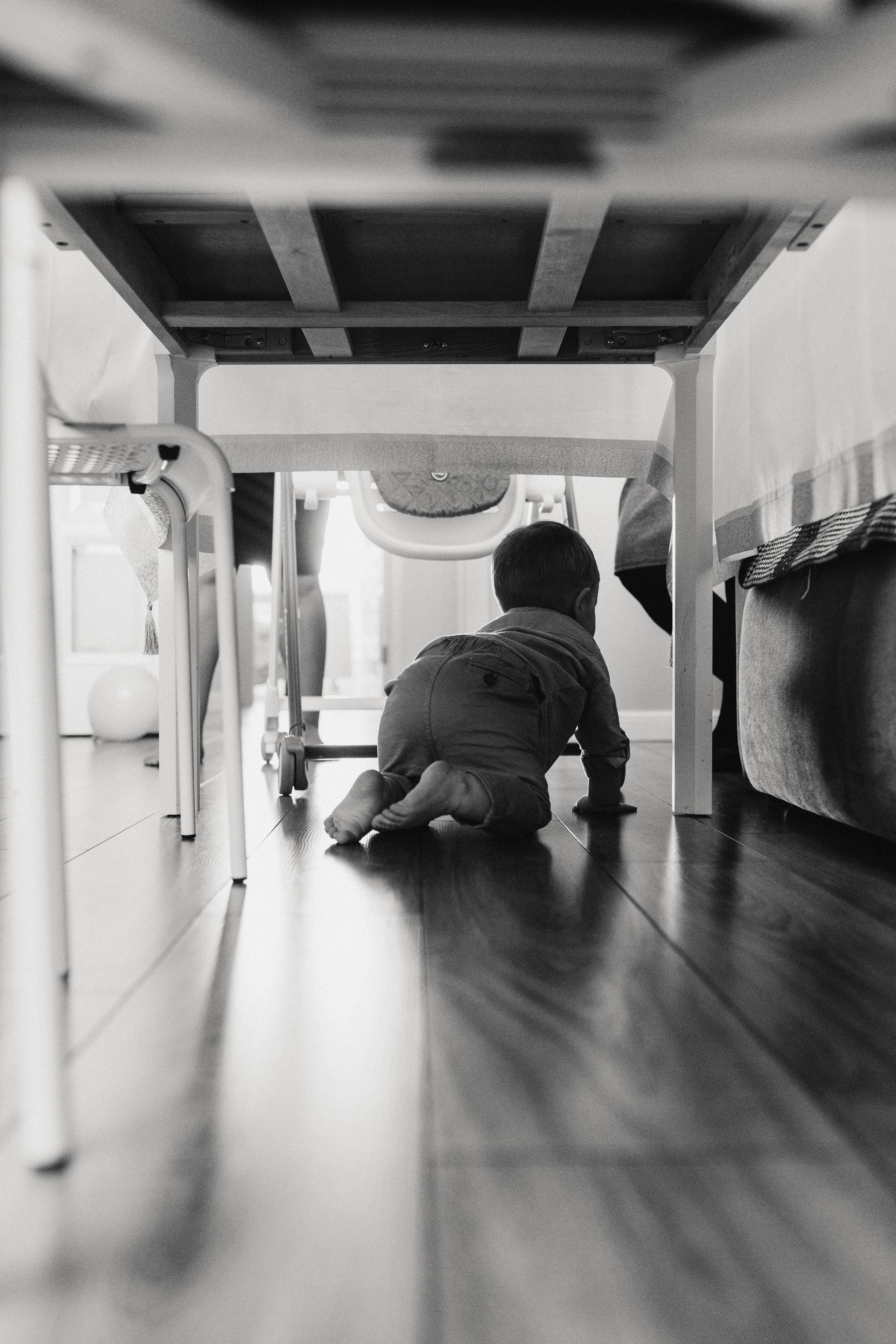 Витя 1 годик. Семейный и детский фотограф из Москвы, Щёлково Герасимова Вероника