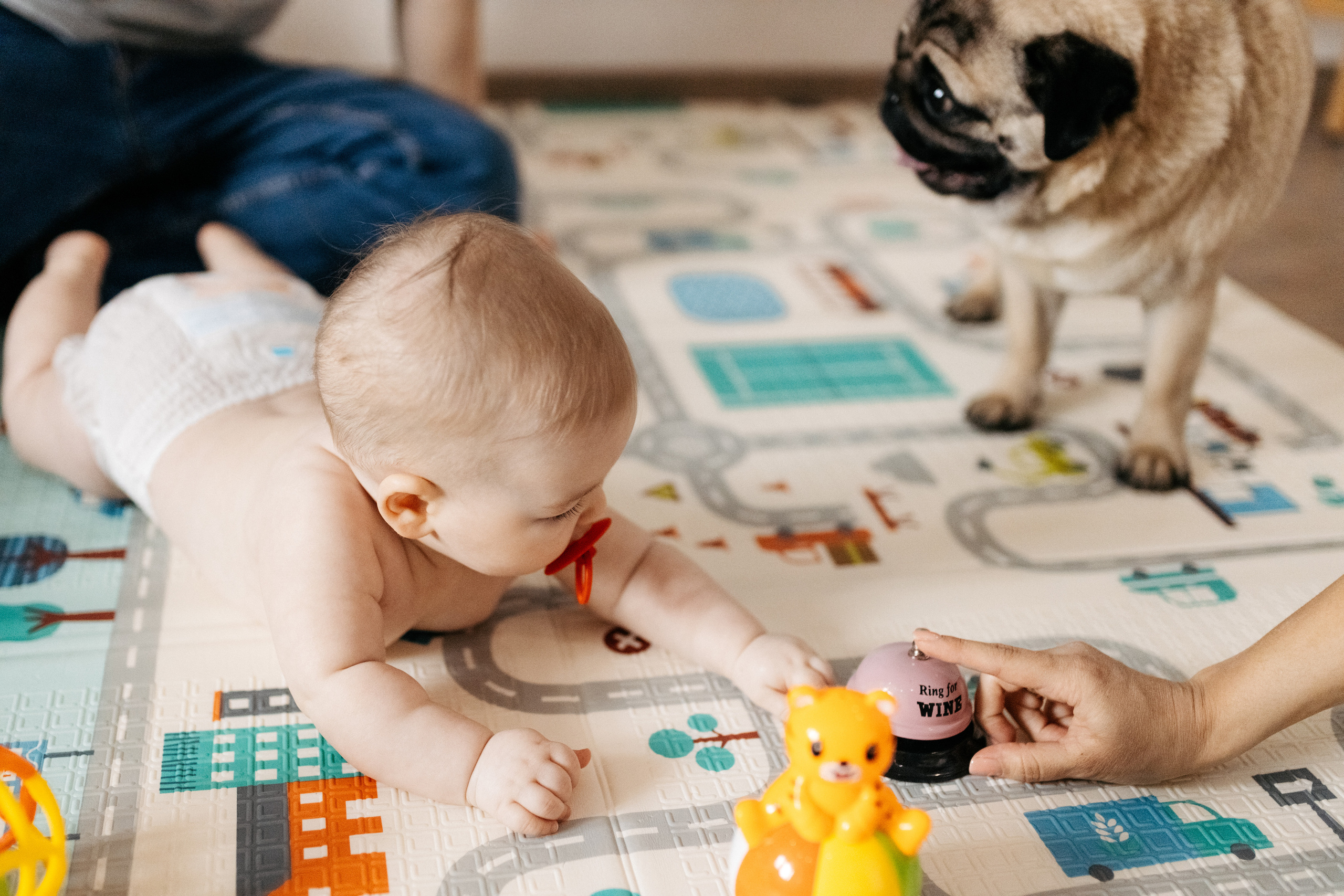 Мир, в котором мы живём. Семейный и детский фотограф из Москвы, Щёлково Герасимова Вероника