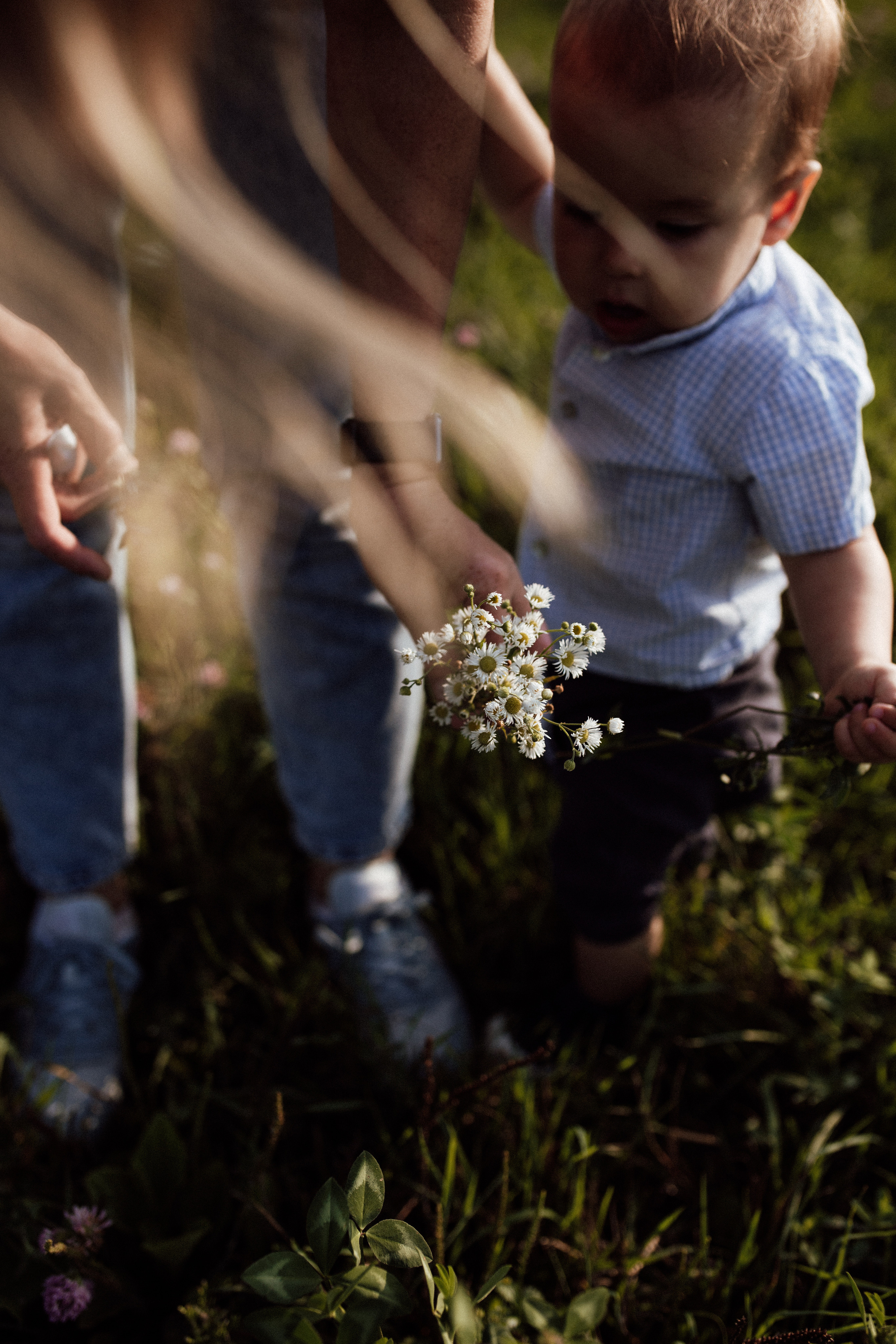 Семейная прогулка. Семейный и детский фотограф из Москвы, Щёлково Герасимова Вероника