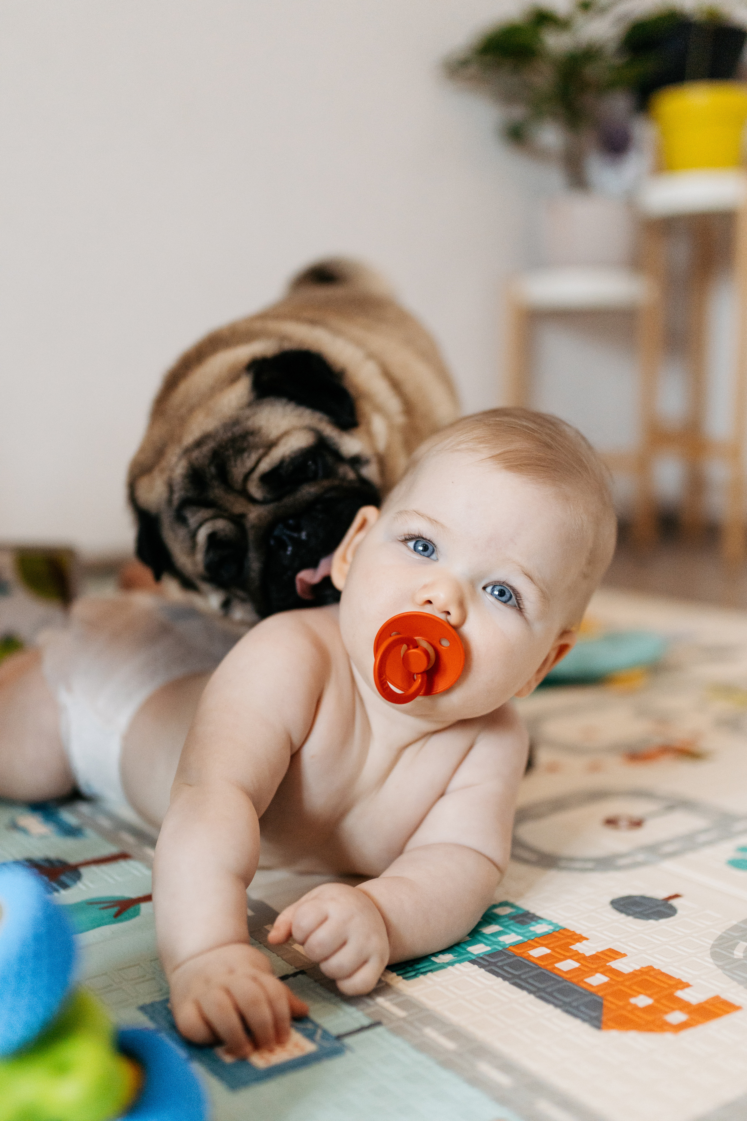 Мир, в котором мы живём. Семейный и детский фотограф из Москвы, Щёлково Герасимова Вероника