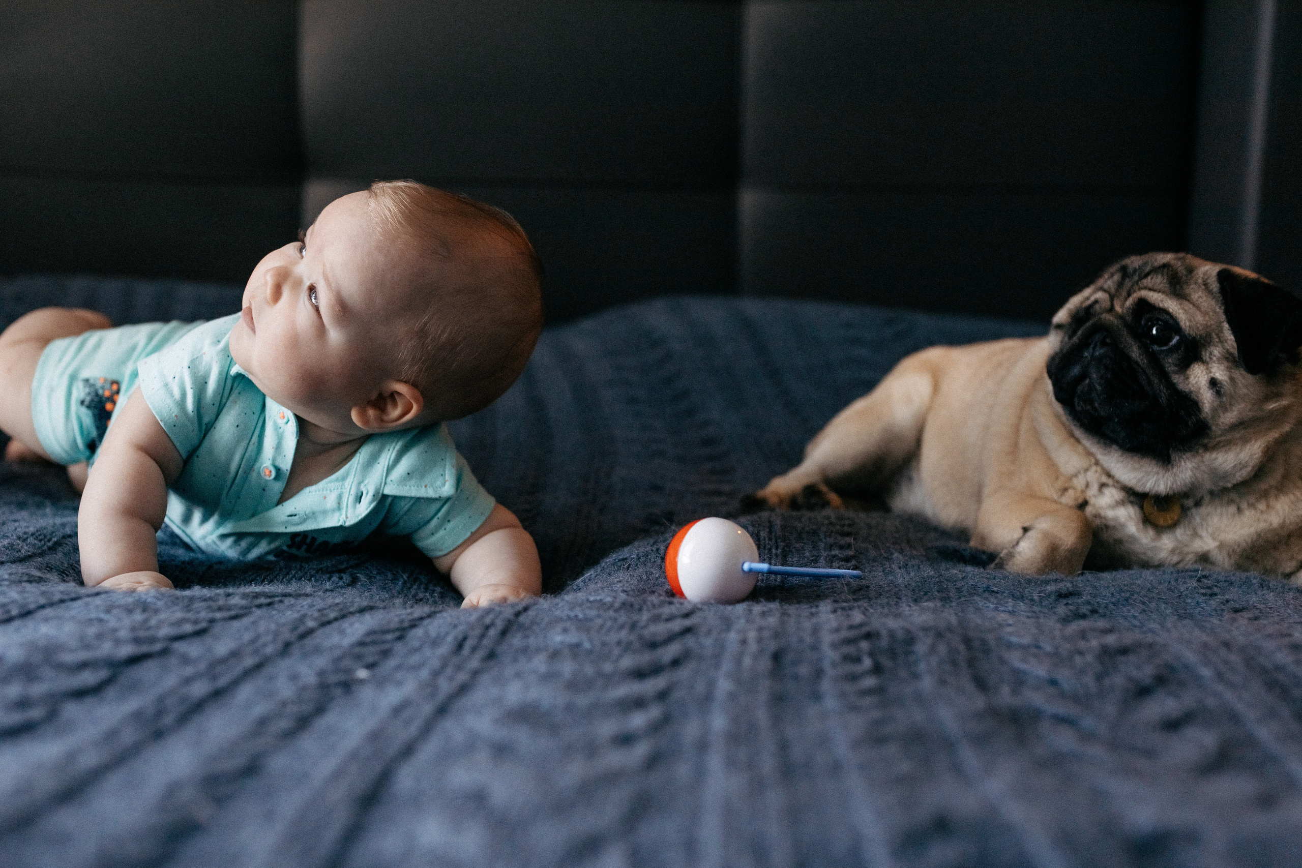 Мир, в котором мы живём. Семейный и детский фотограф из Москвы, Щёлково Герасимова Вероника