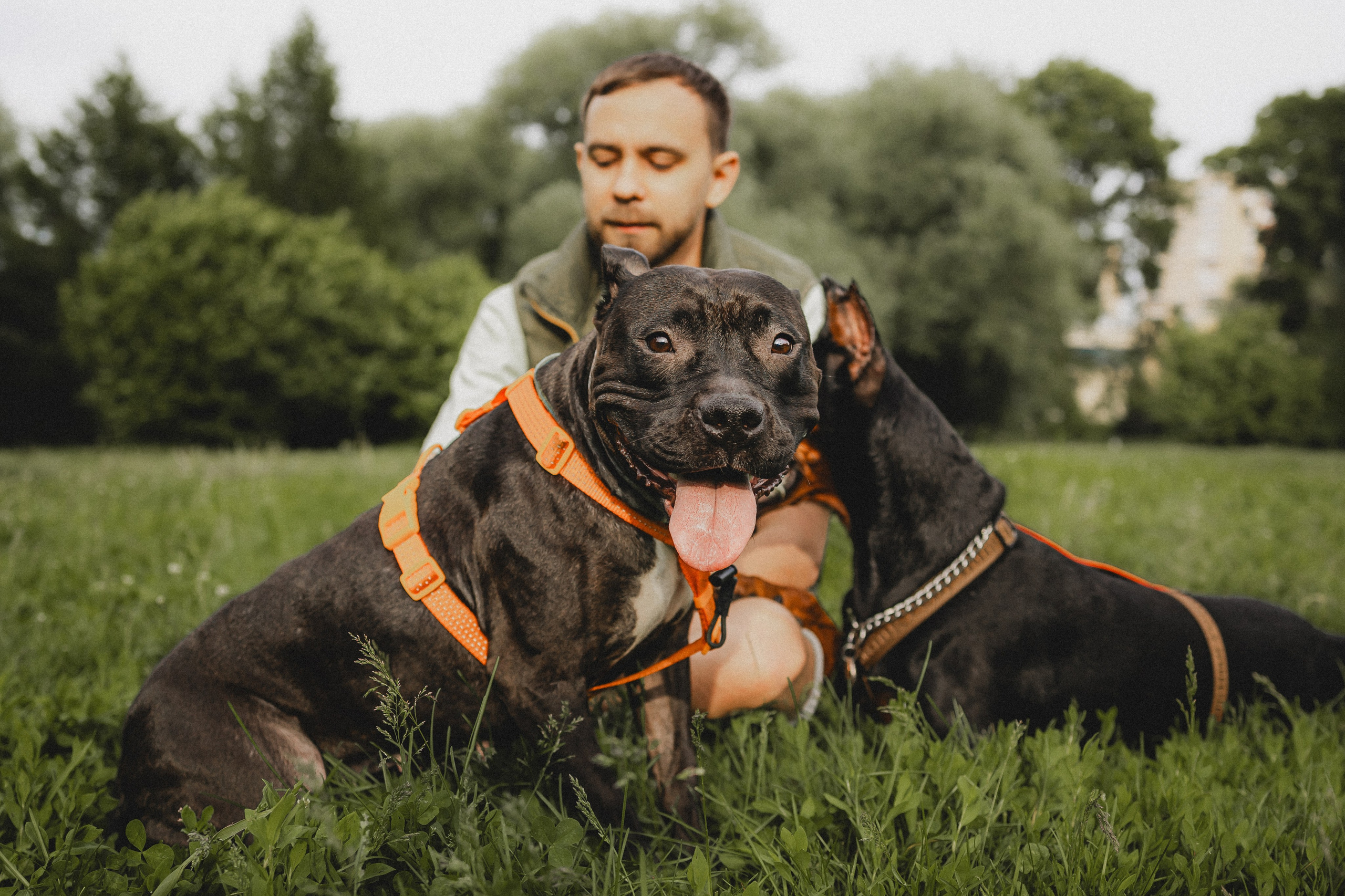 Паша, Хайди и Тея