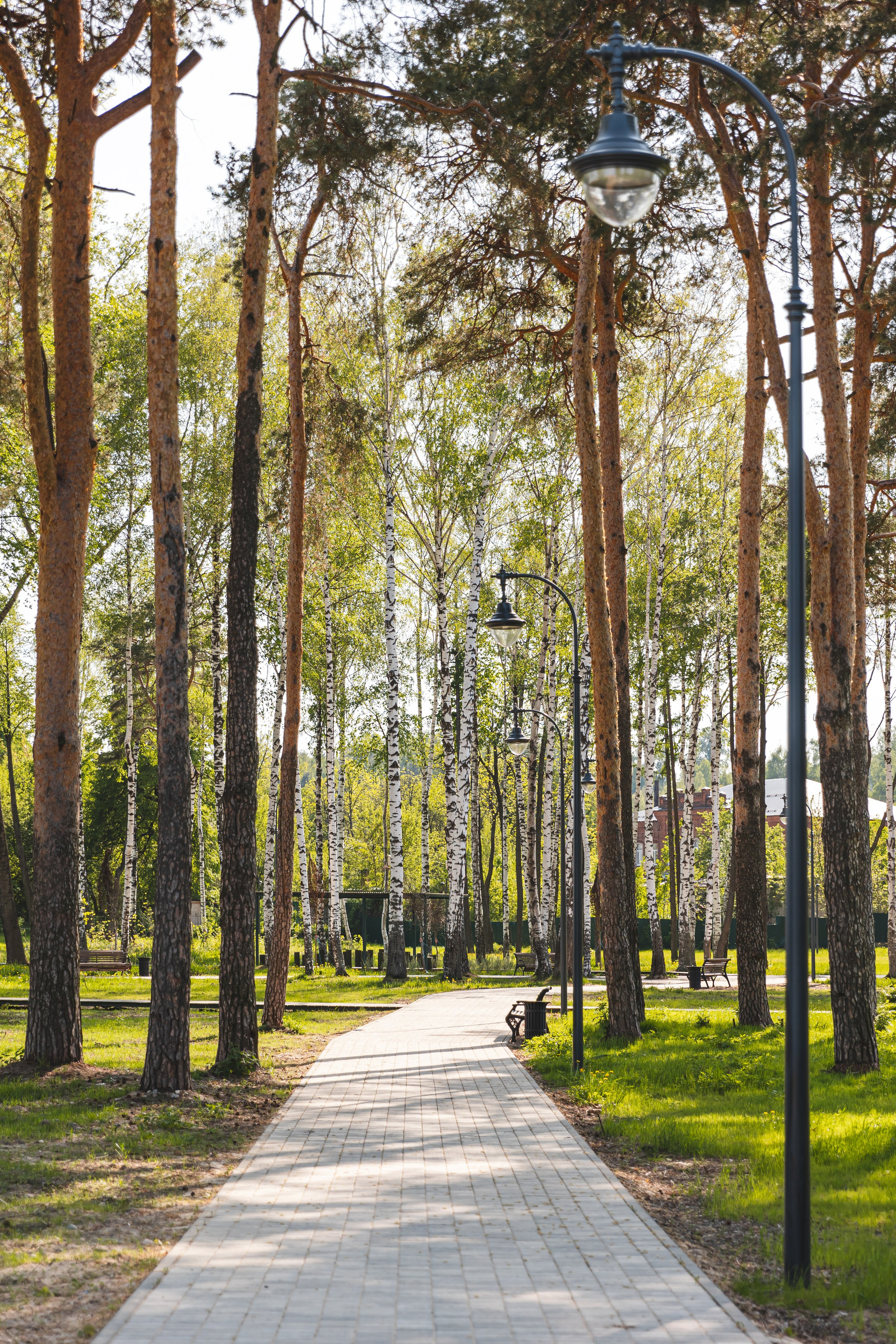 Общественные пространства. Наталья Летунова — интерьерный фотограф в Иванове