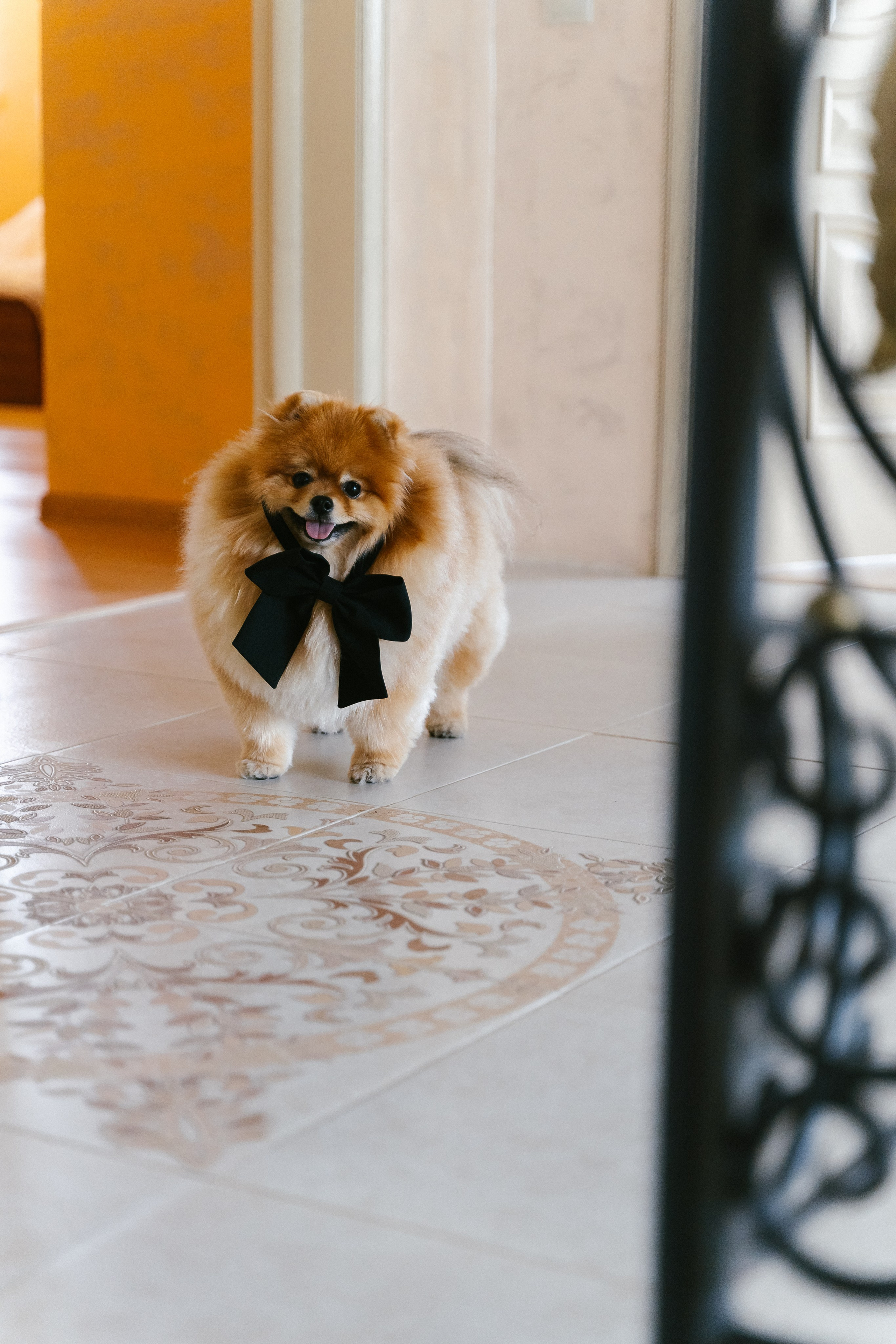 Карэн и Диана. Свадебный и портретный фотограф в Рязани Ринета Цветкова