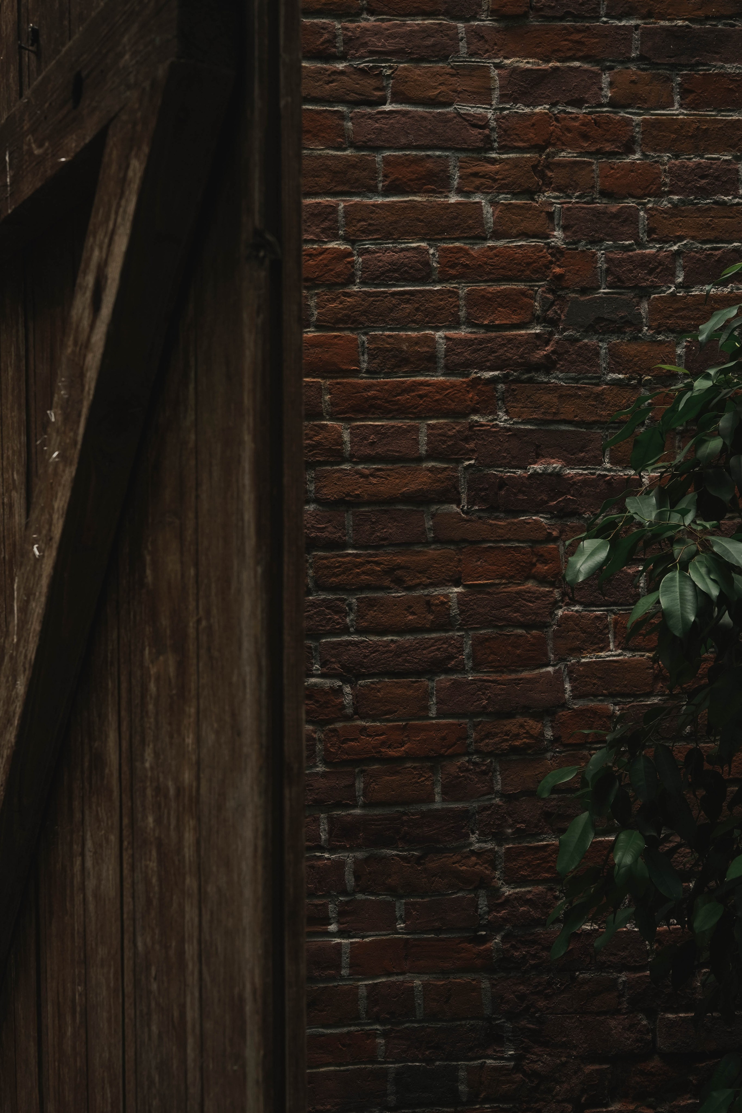 Сказочный сон. Семейный и свадебный фотограф