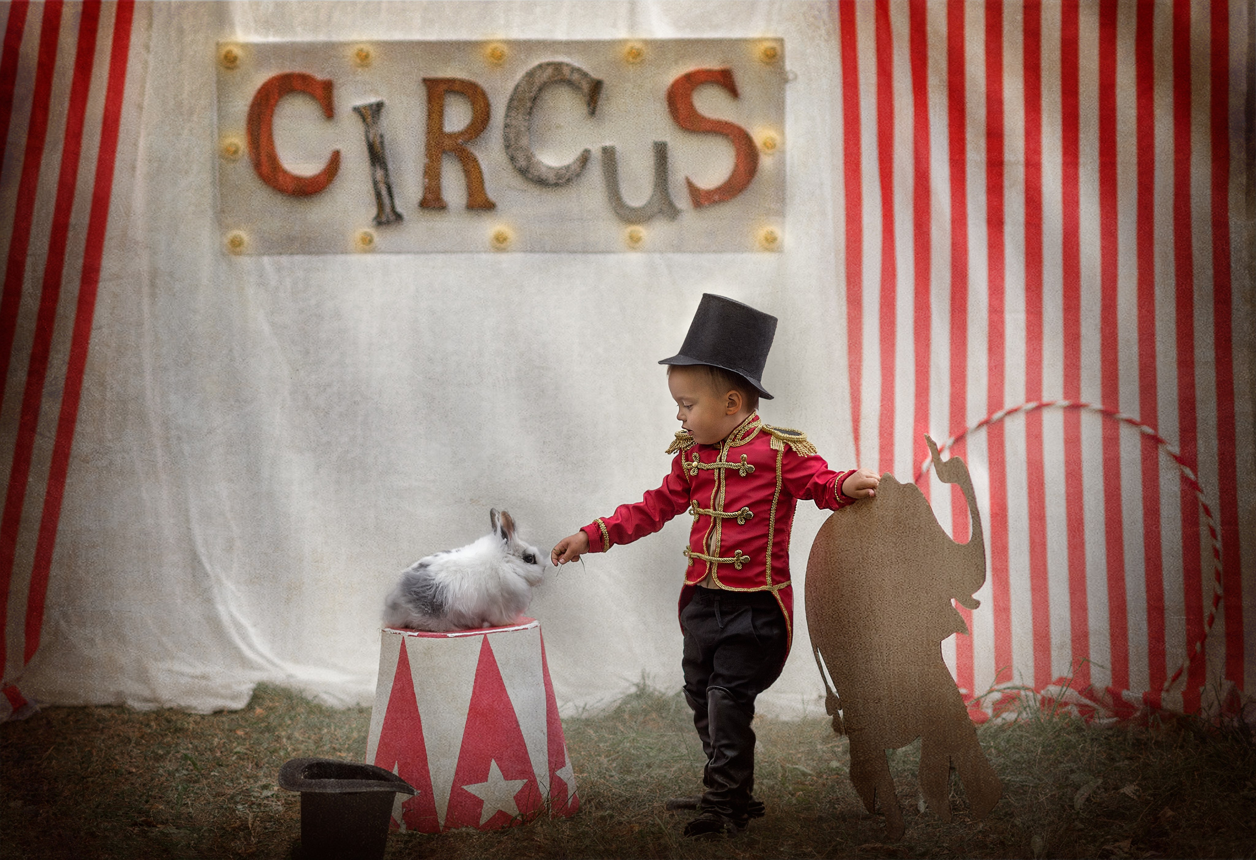ЦИРК. Семейный фотограф Екатеринбург Лора Мур