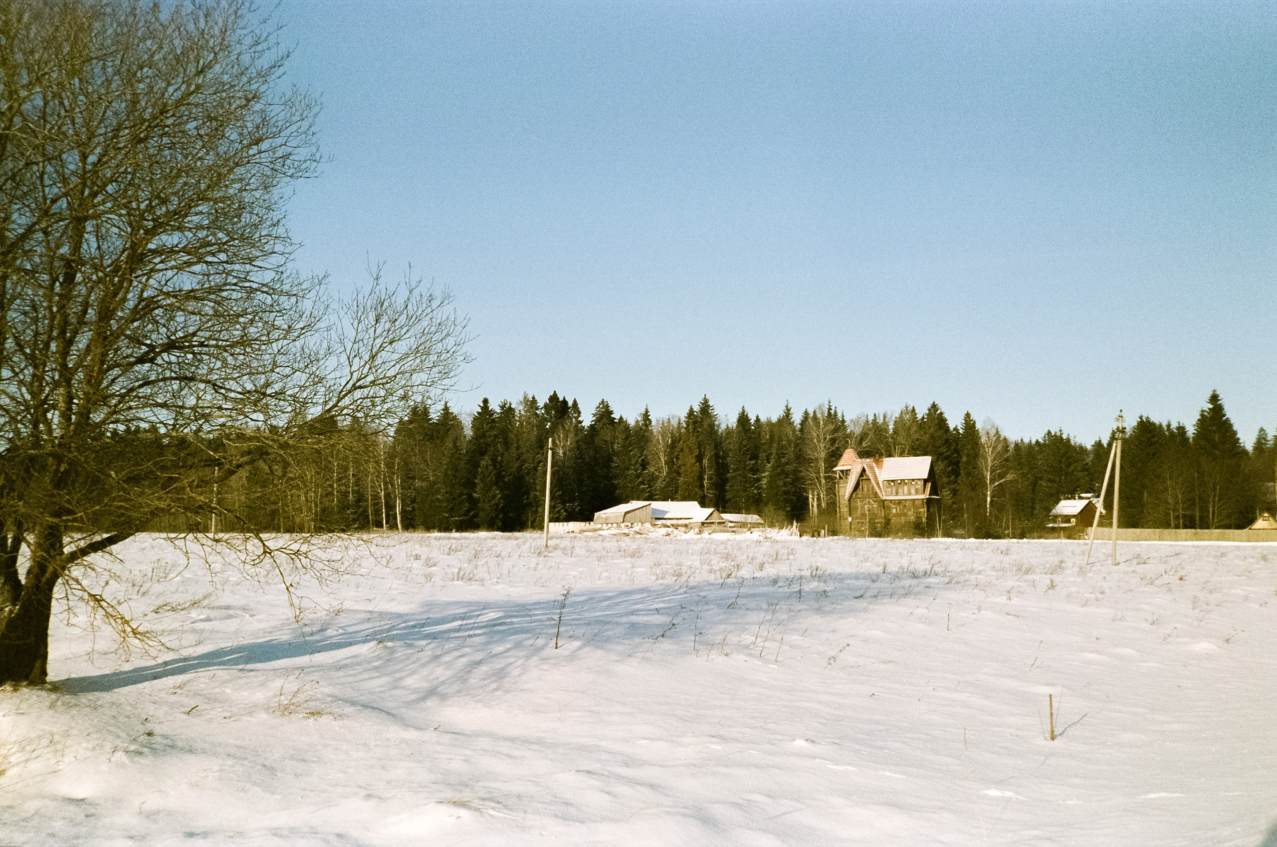 Chinon Auto 3001 (2) / Fuji Eterna 250D (ISO 100) / Давыдовское, Лукин