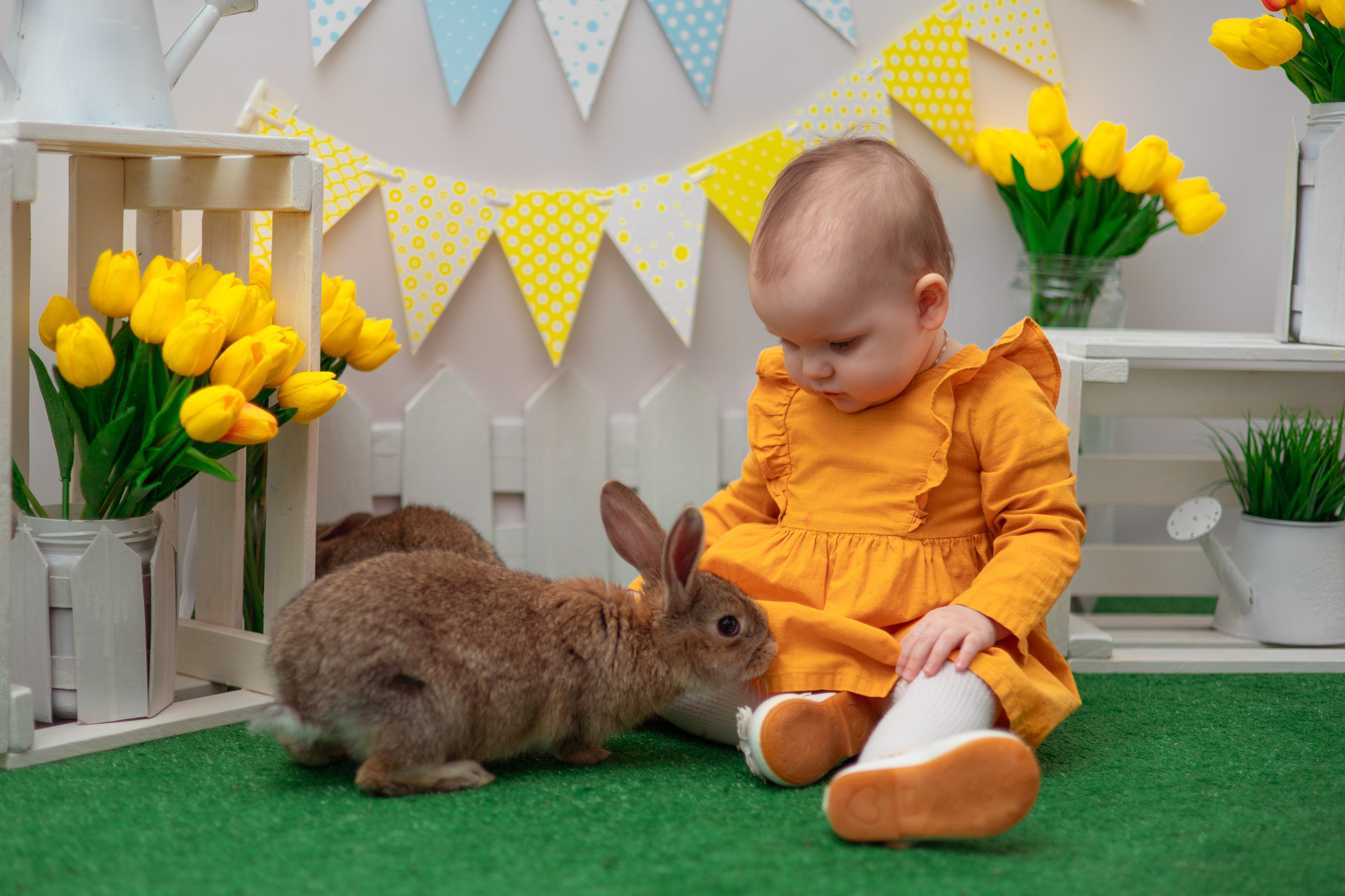 Вероника кролики. Семейный и детский фотограф в Михайловке Татьяна Лестьева