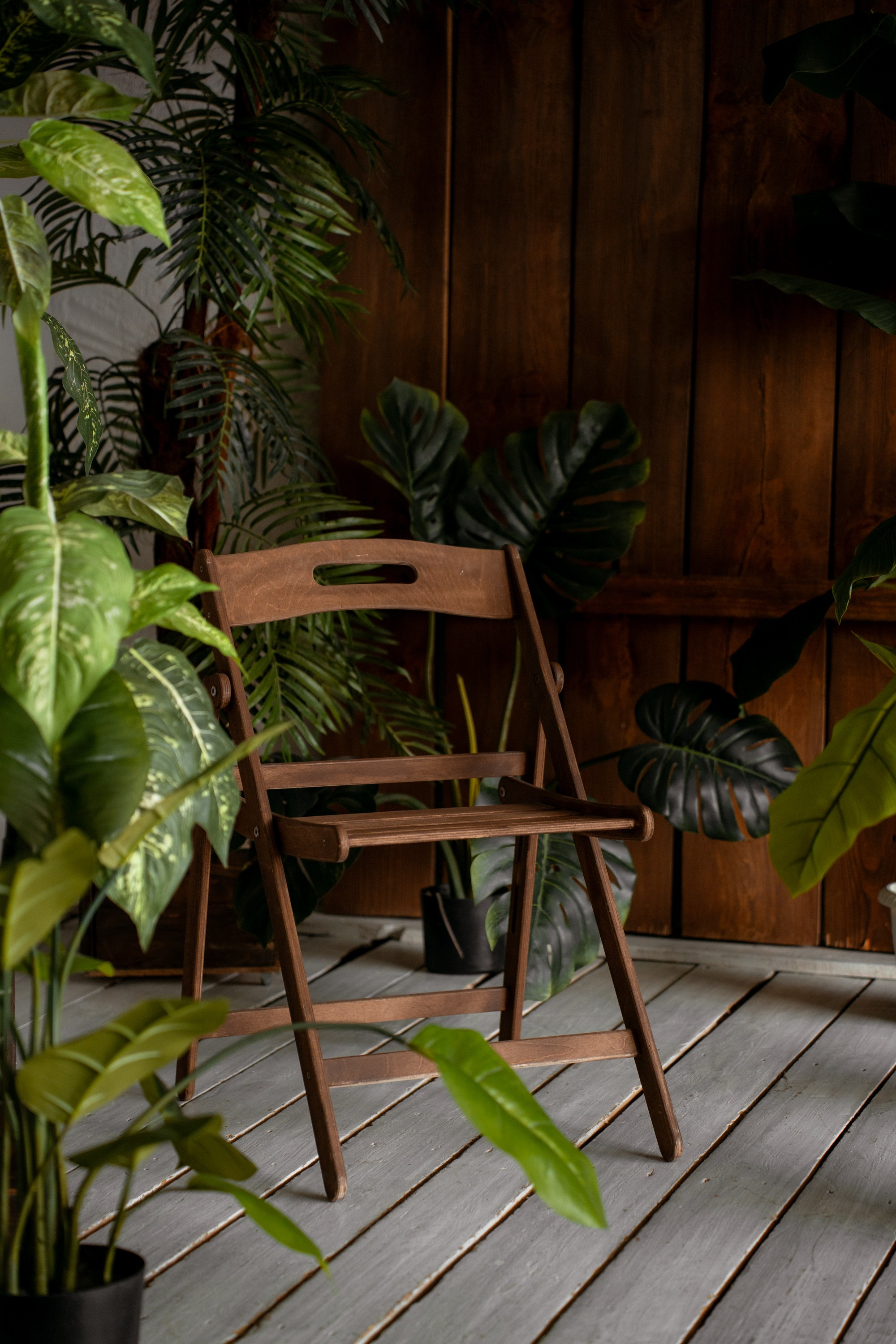 Фотостудия AlexCam | Фотостудии Саратова