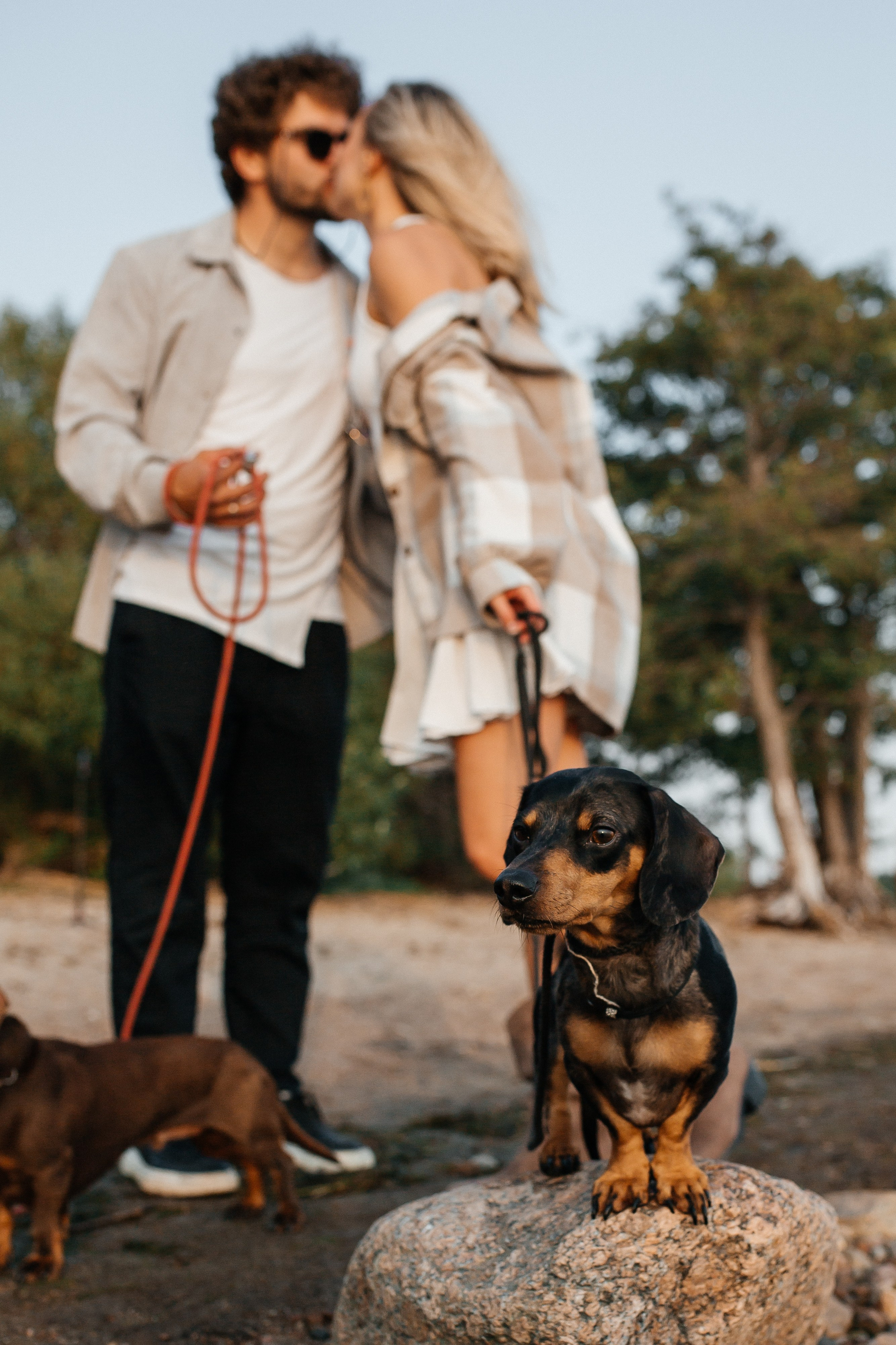 Миша и Даша