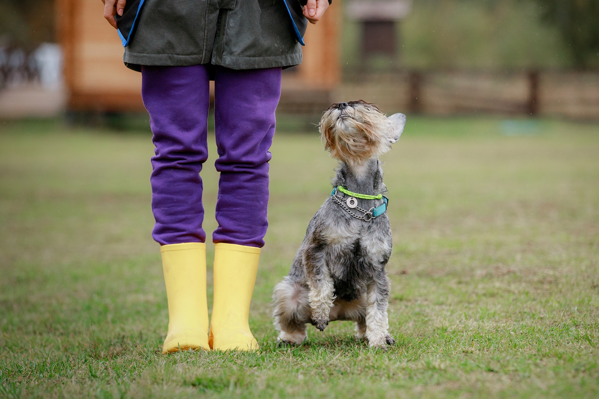Лагерь по ОБД с Инной Баженовой. Фотограф-анималист Mary Mart — Москва, Питер
