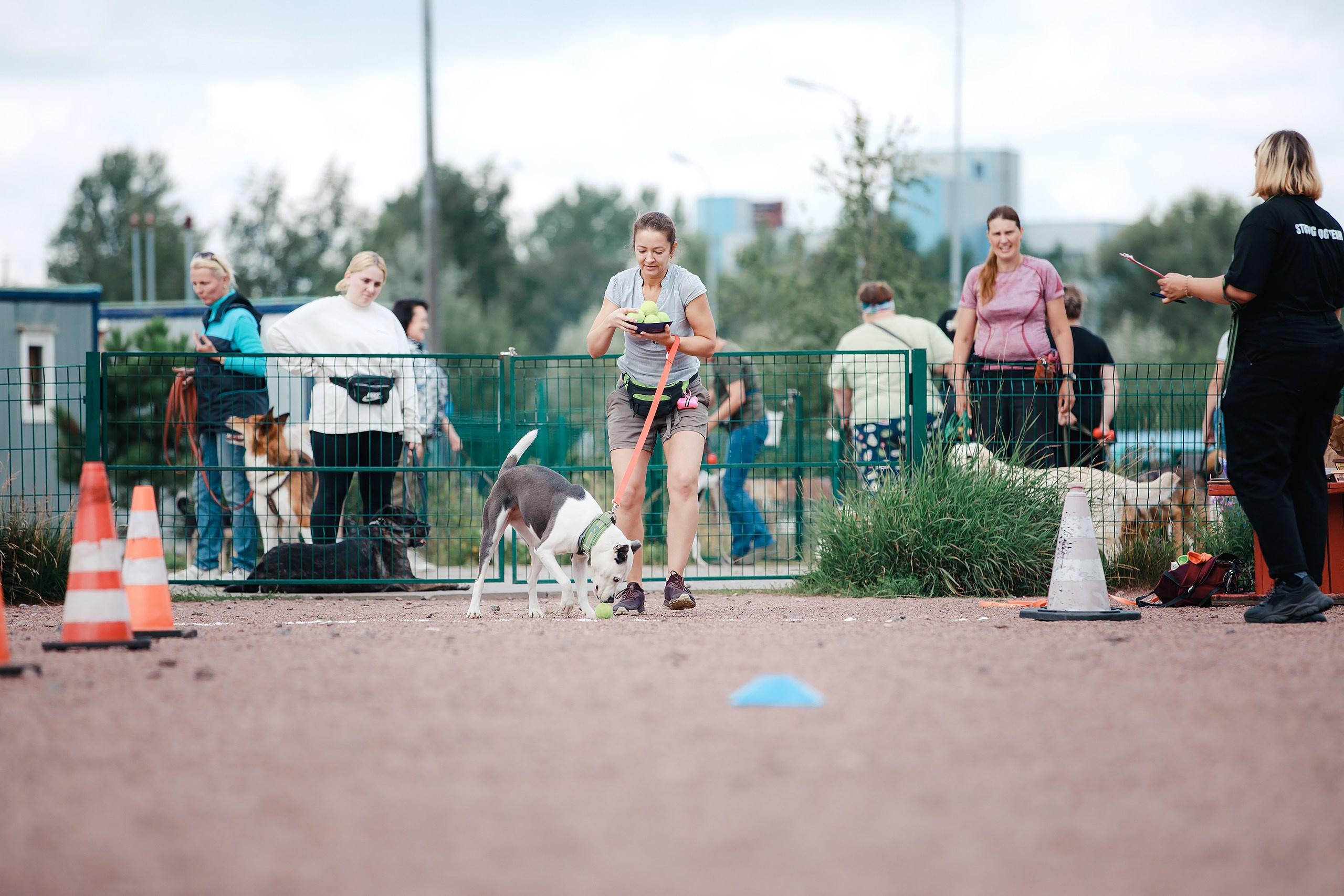 Питч&Гоу + веселые старты. Фотограф-анималист Mary Mart — Москва, Питер
