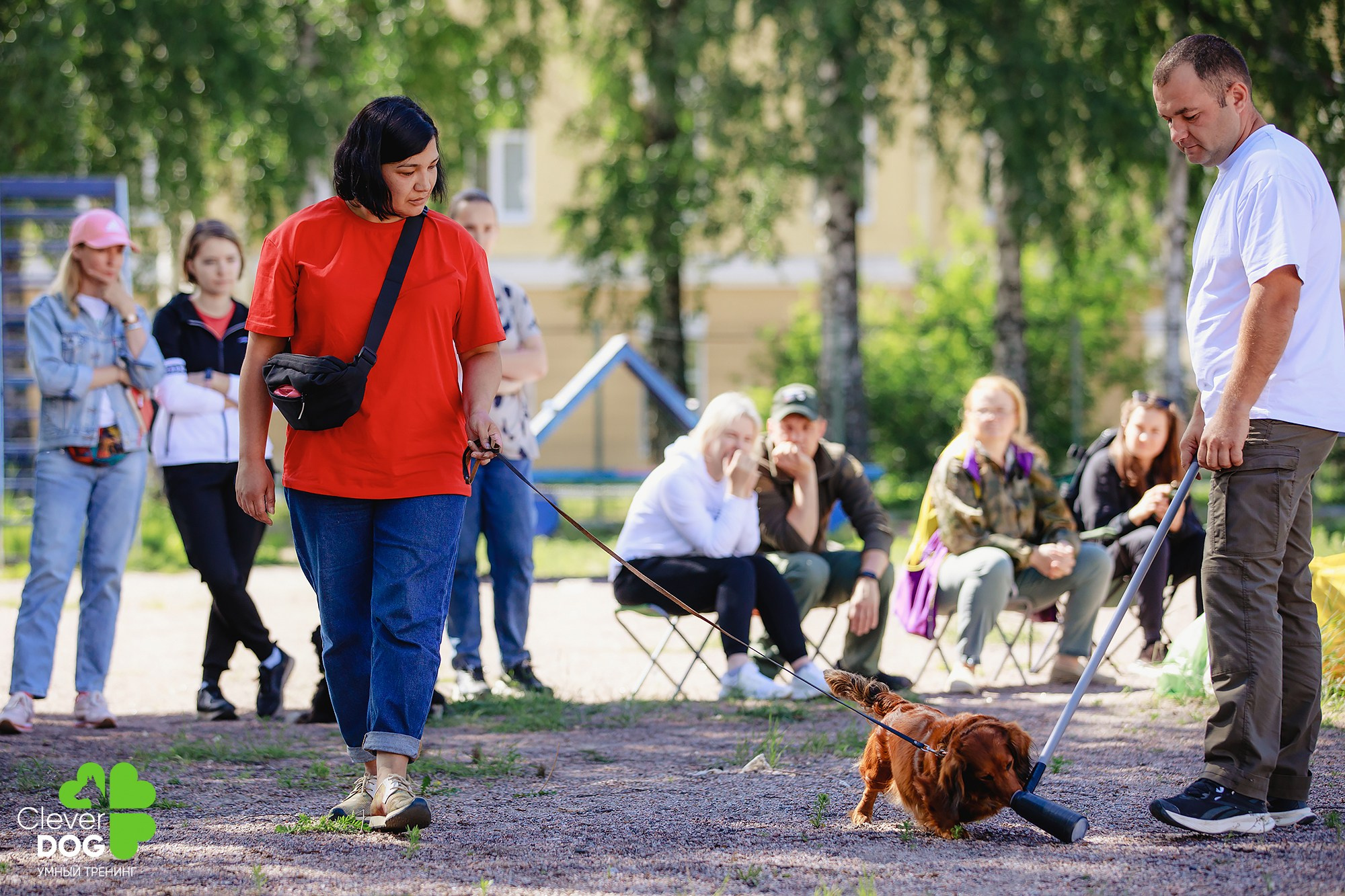 Семинар по поиску запаха с Иваном Ломовым, организатор CleverDog, СПб. Фотограф-анималист Mary Mart — Москва, Питер