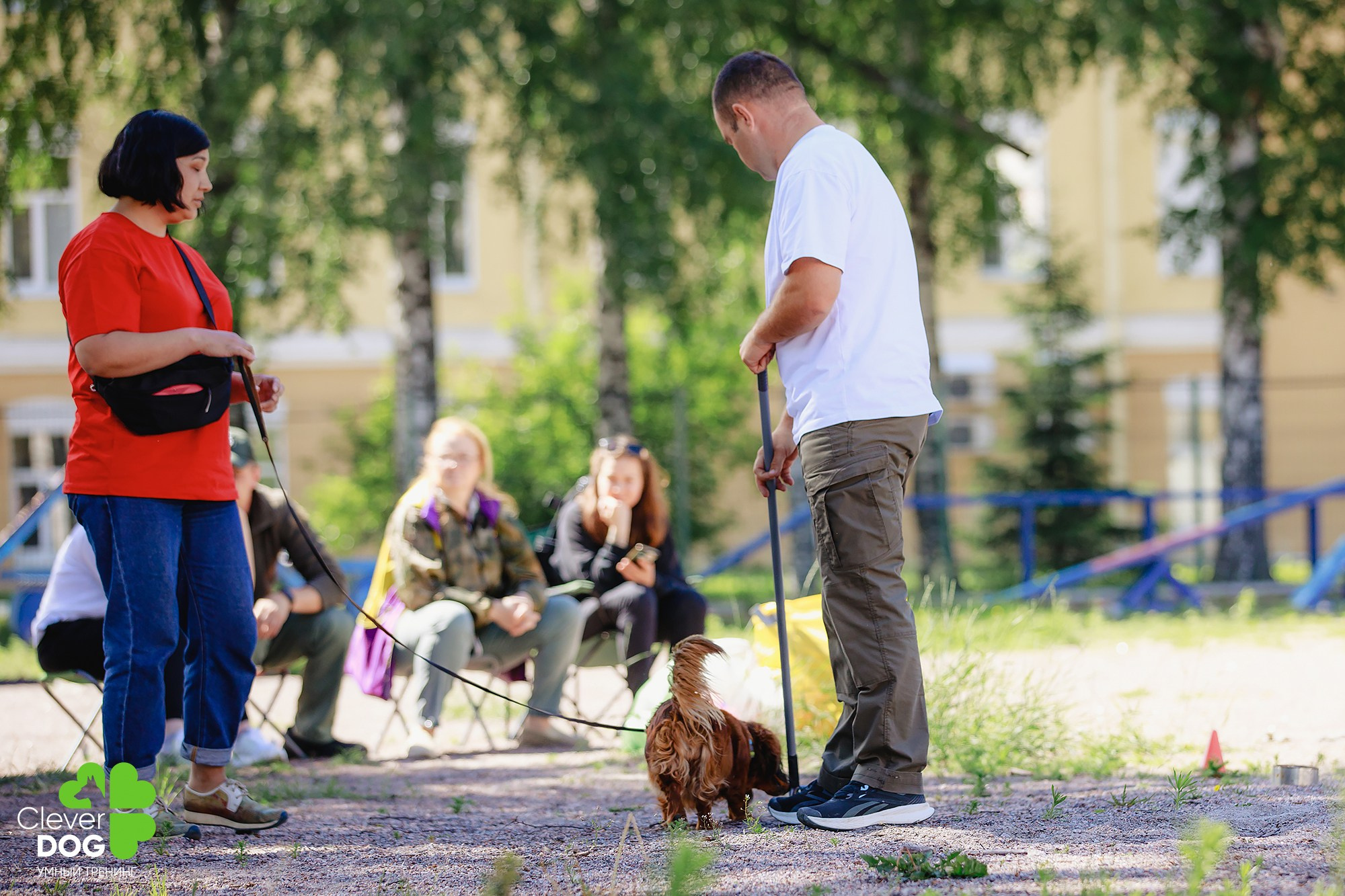 Семинар по поиску запаха с Иваном Ломовым, организатор CleverDog, СПб. Фотограф-анималист Mary Mart — Москва, Питер