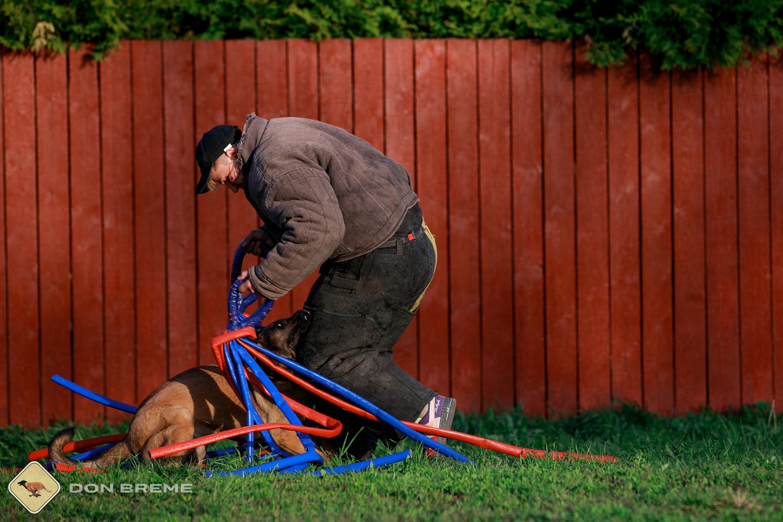 Семинар для фигурантов, день 4. Фотограф-анималист Mary Mart — Москва, Питер