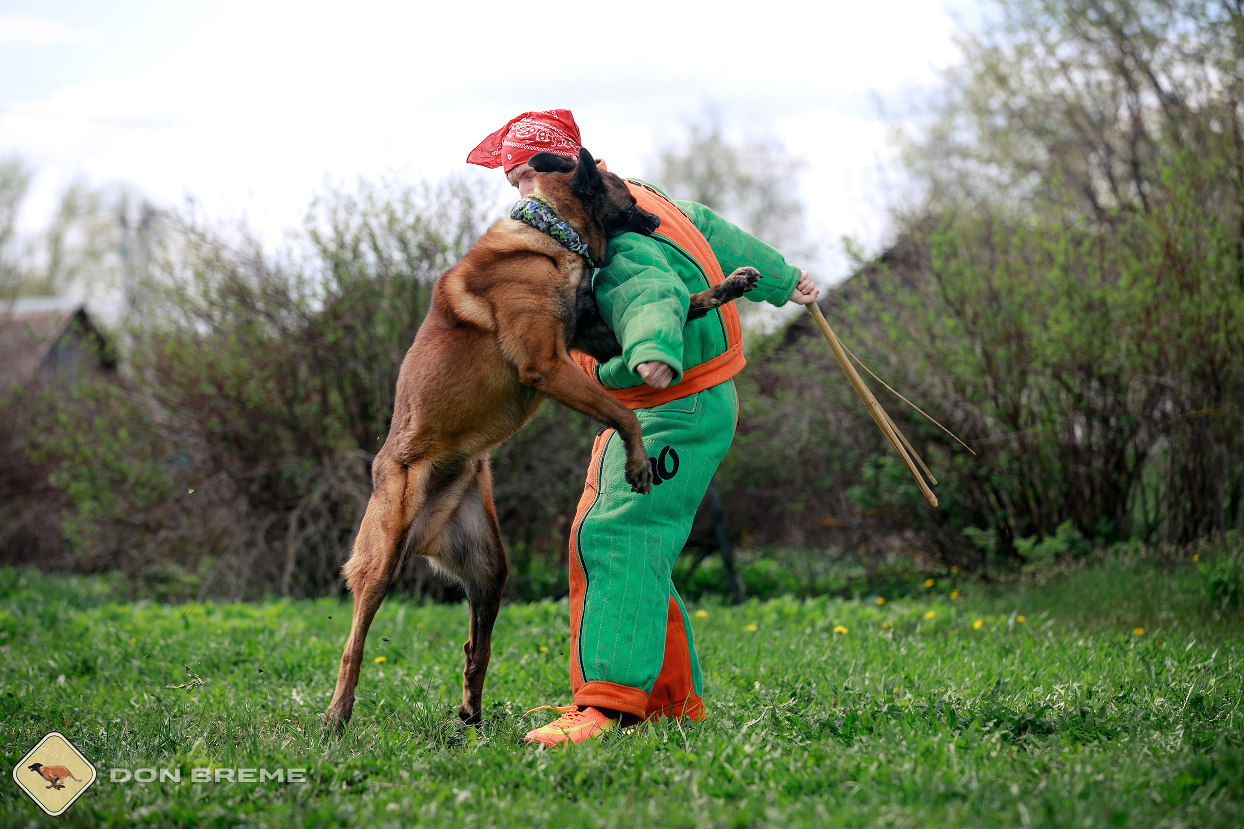 Семинар для фигурантов, день 2. Фотограф-анималист Mary Mart — Москва, Питер