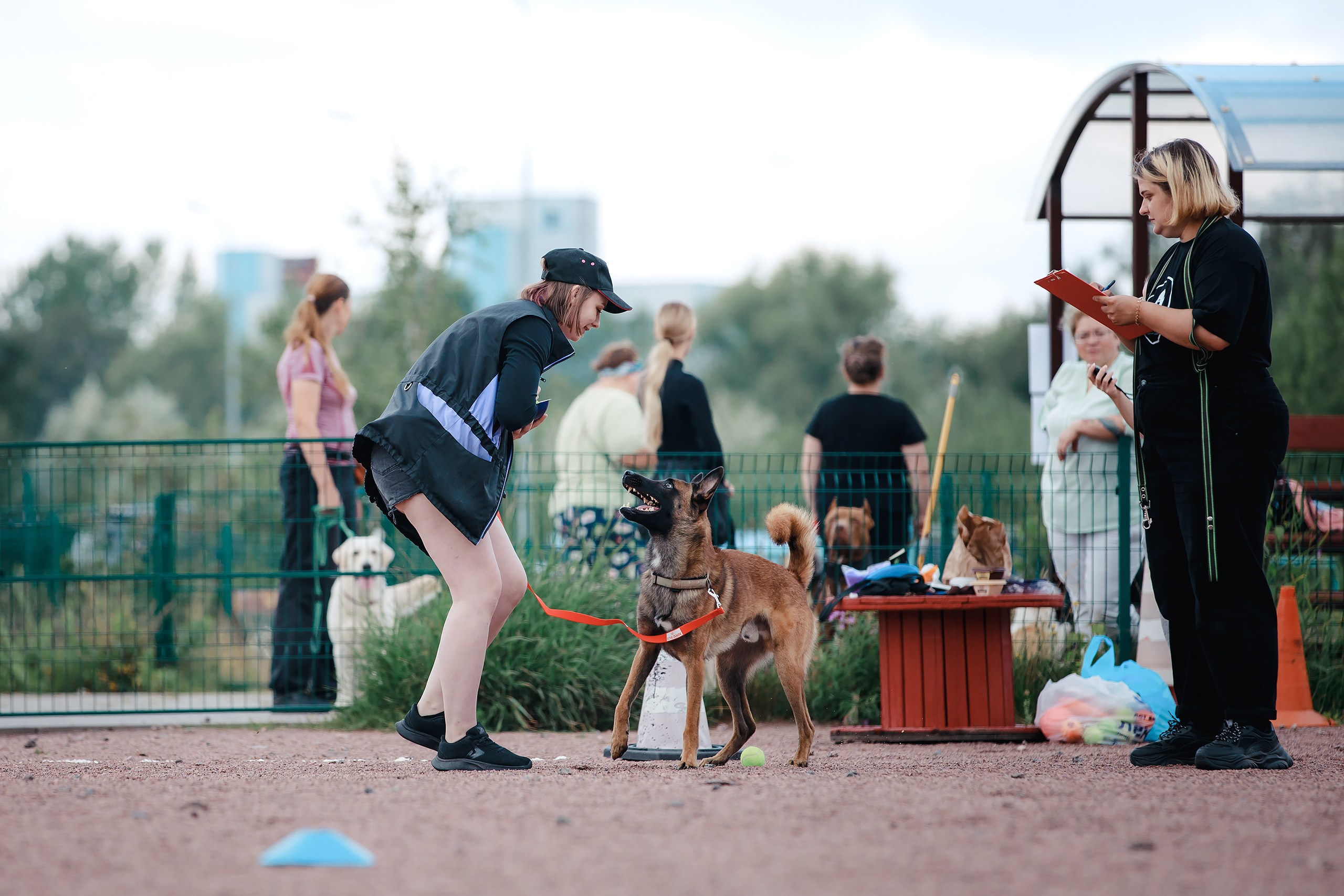 Питч&Гоу + веселые старты. Фотограф-анималист Mary Mart — Москва, Питер