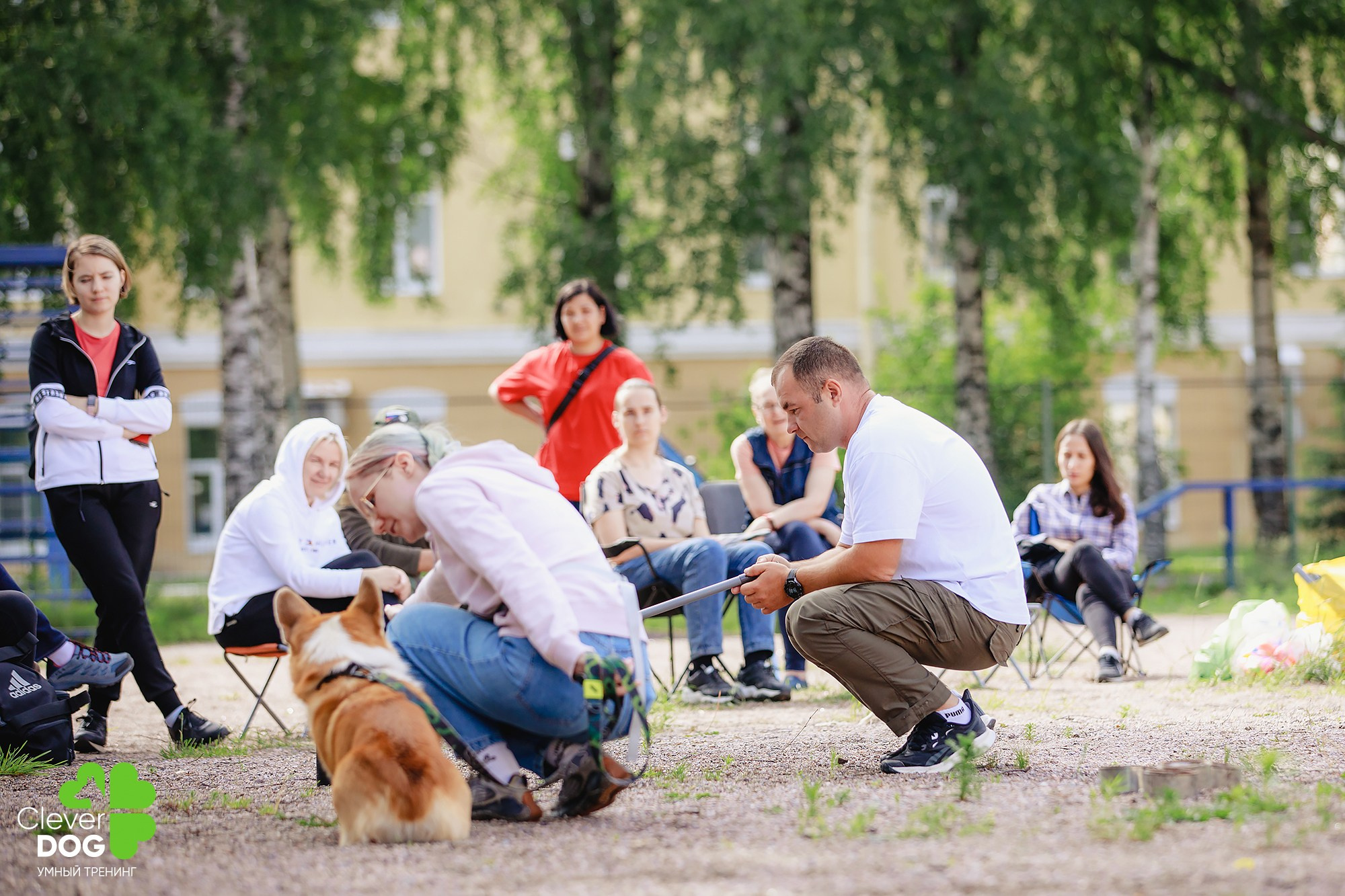 Семинар по поиску запаха с Иваном Ломовым, организатор CleverDog, СПб. Фотограф-анималист Mary Mart — Москва, Питер