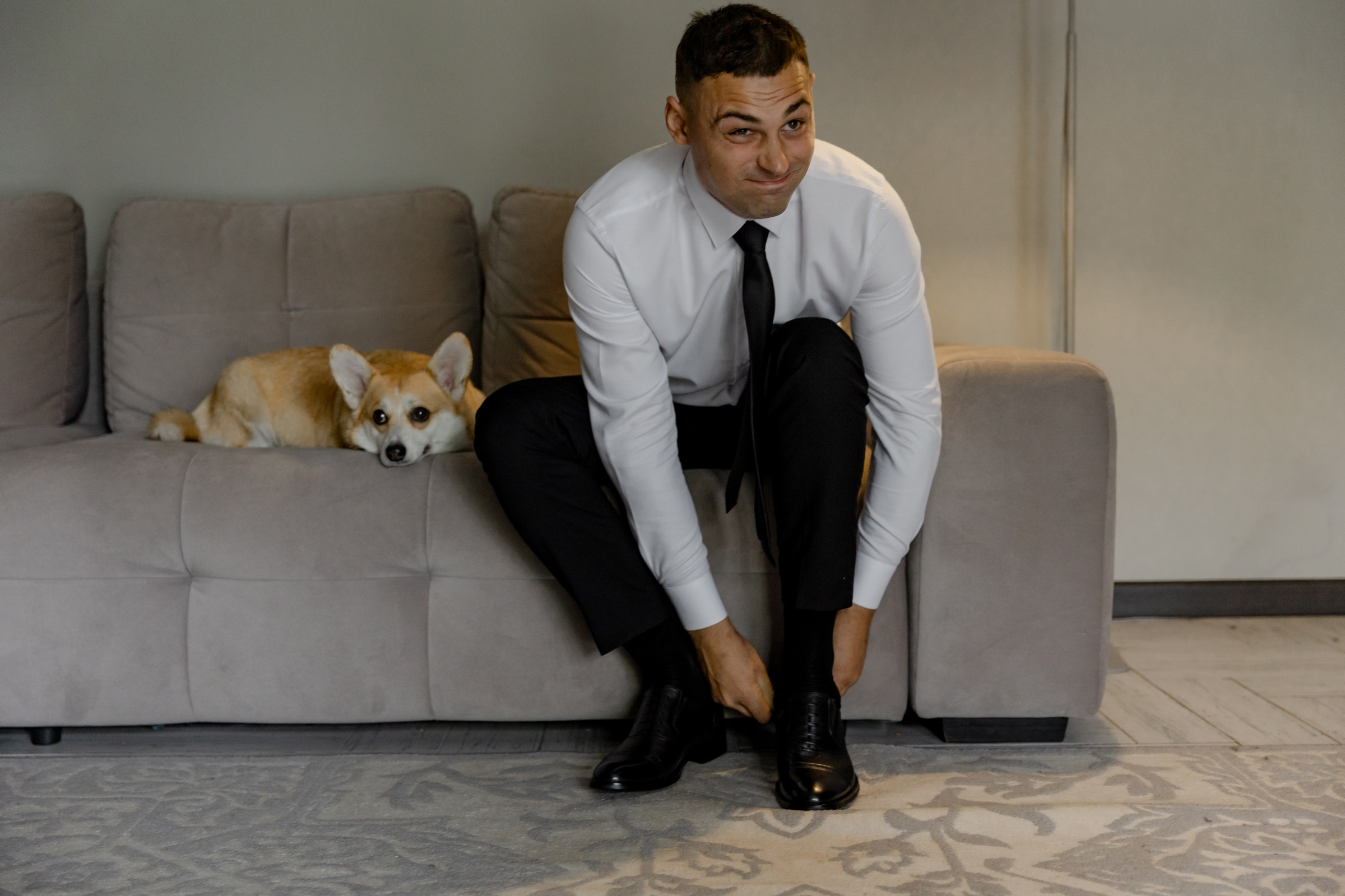 Свадьба пес и котики. Dima Lemeshevsky