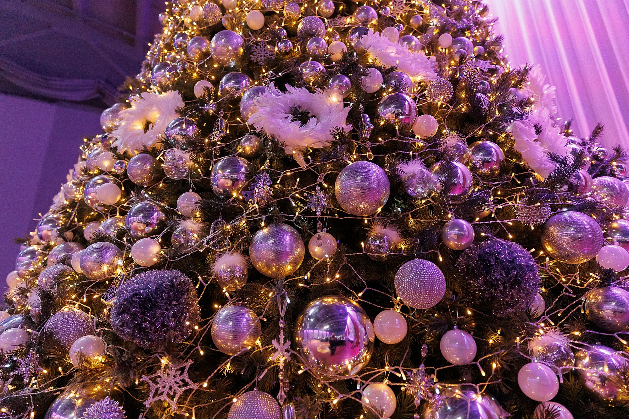 ПРОСТОРИЯ | КОРПОРАТИВИЩЕ`24. Боченков Вадим | Фотограф в Пскове и Санкт-Петербурге