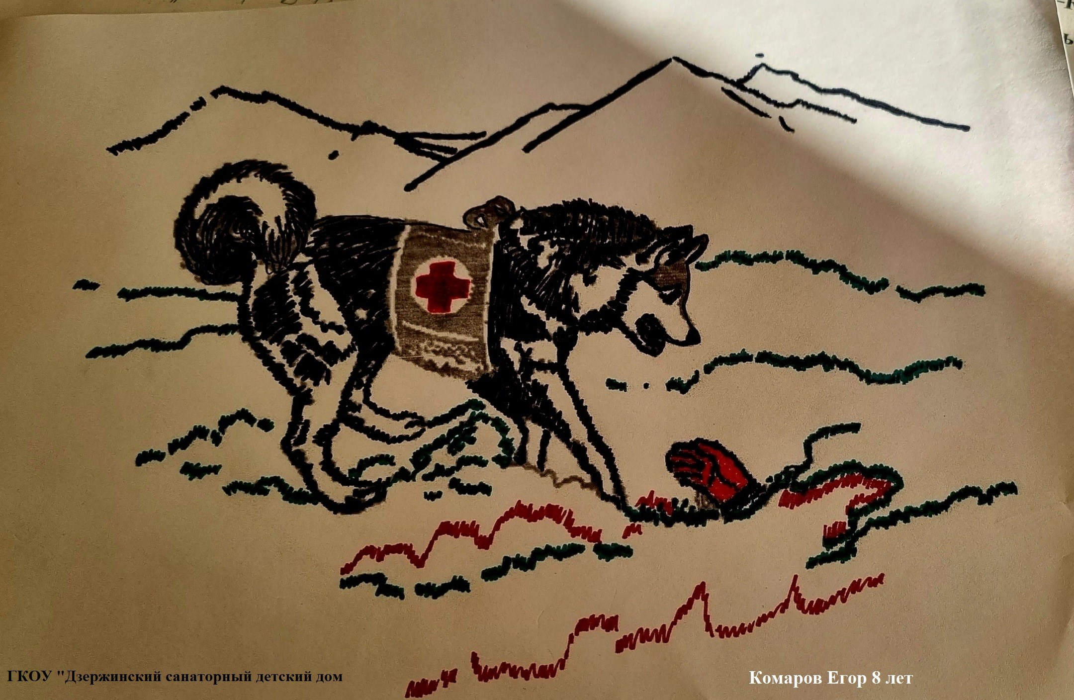 Мероприятия для юных кинологов — «Помним их имена», «Портрет фронтовой собаки». НРОО КЦ "Собаковод"