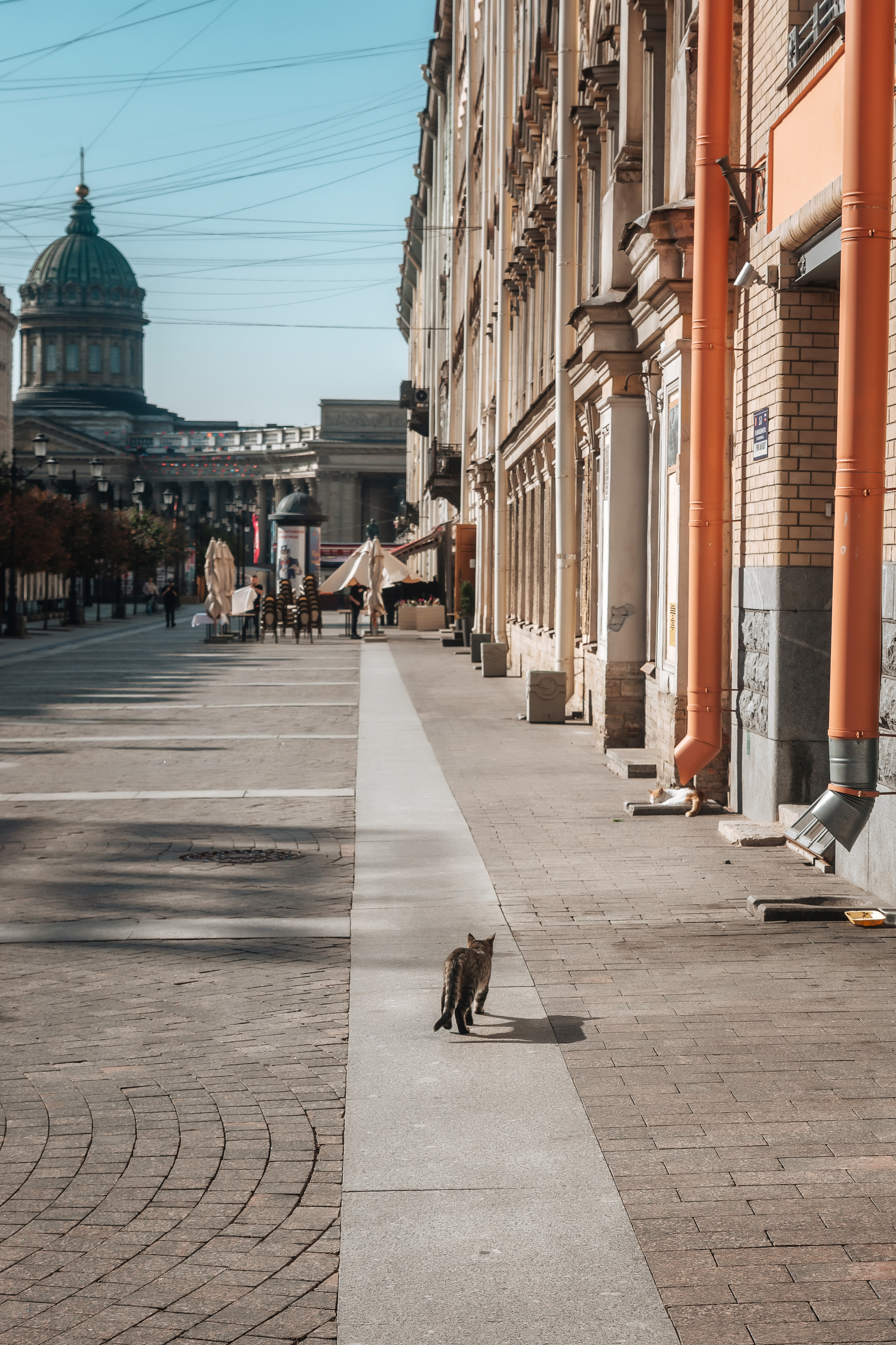 Юлия. Портретный фотограф в Санкт-Петербурге Дмитриева Наталия