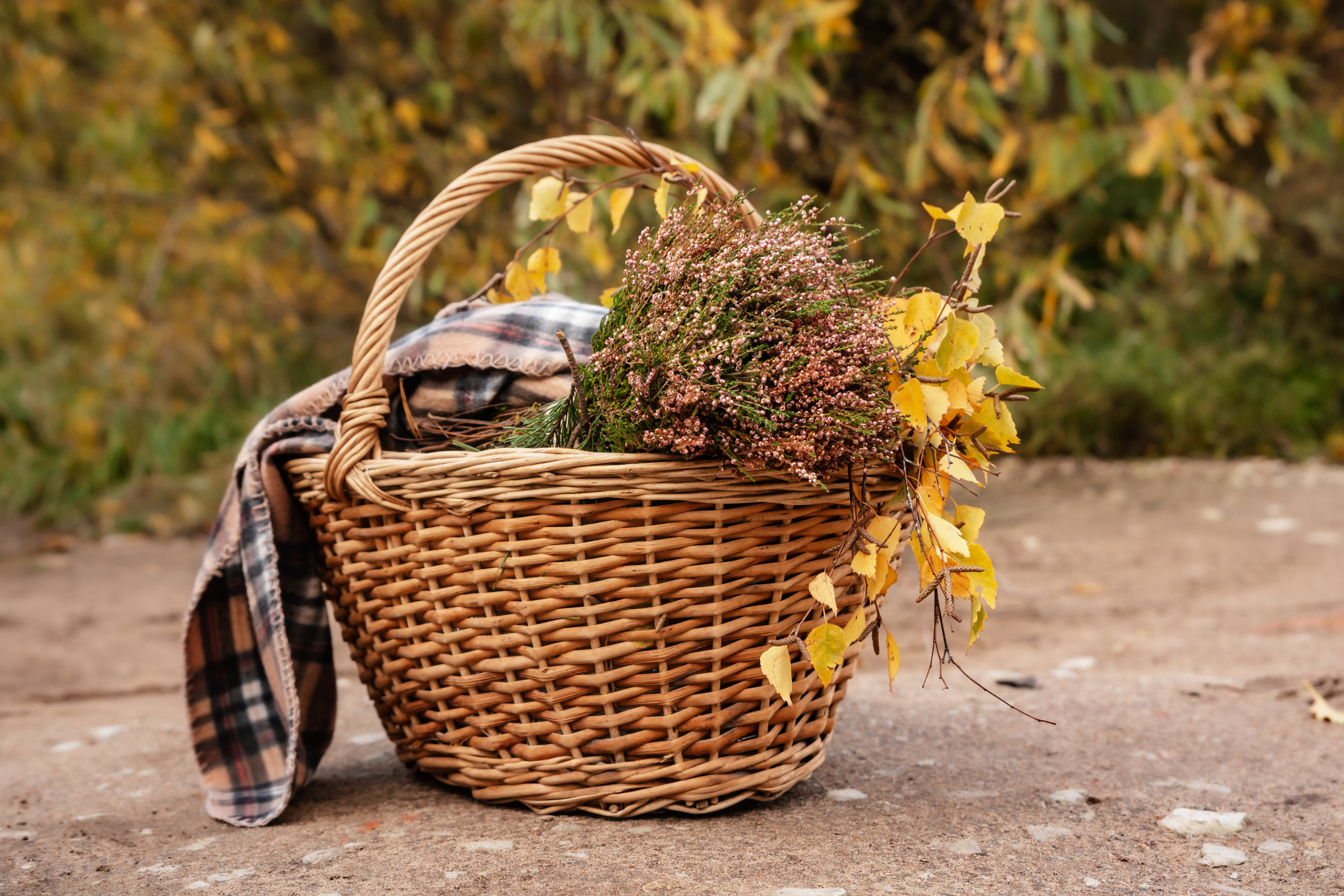 Екатерина. Осенняя фотосессия. Портретный фотограф в Санкт-Петербурге Дмитриева Наталия