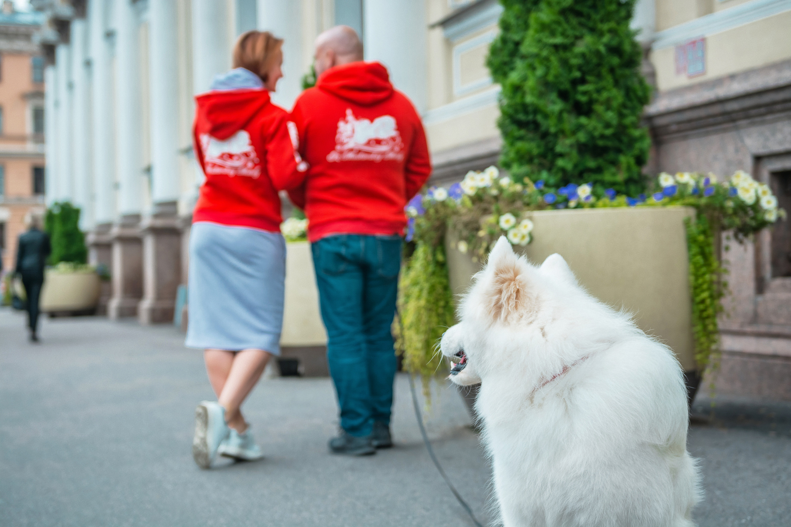 Александра и Михаил. Портретный фотограф в Санкт-Петербурге Дмитриева Наталия
