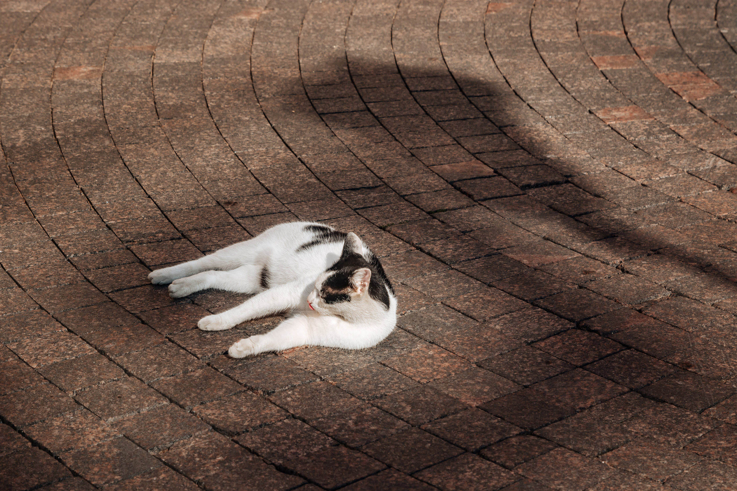 Юлия. Портретный фотограф в Санкт-Петербурге Дмитриева Наталия