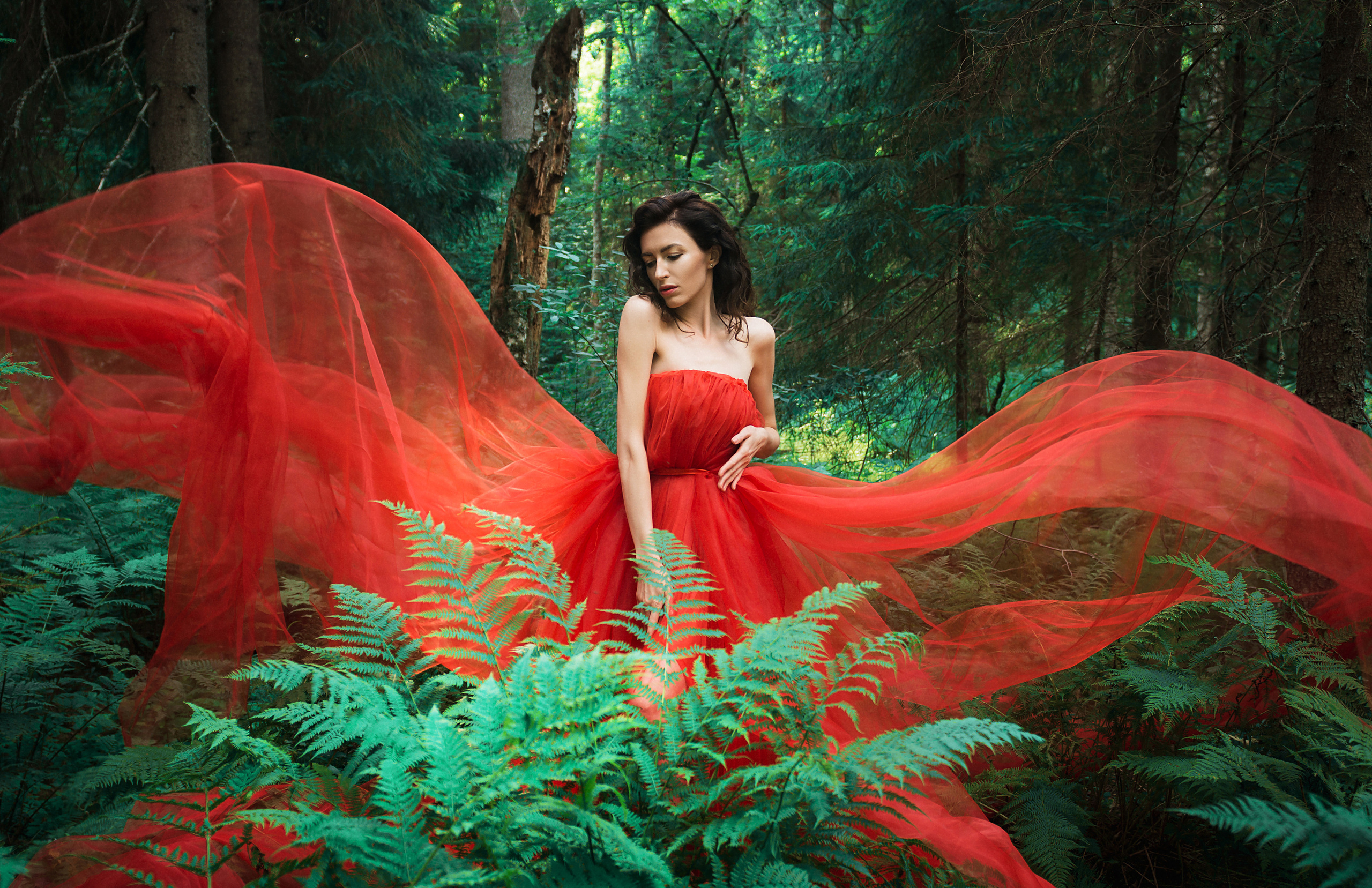 Девушка в красном платье, лес и папоротник