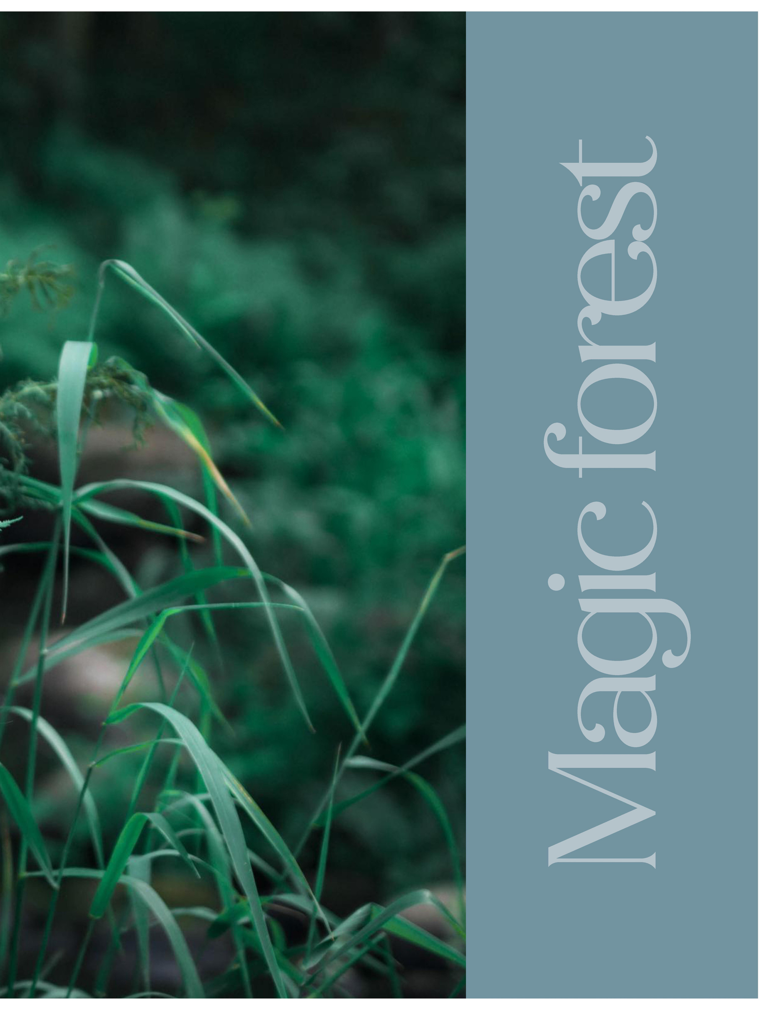 Edith. Magic forest. Портретный фотограф в Санкт-Петербурге Дмитриева Наталия