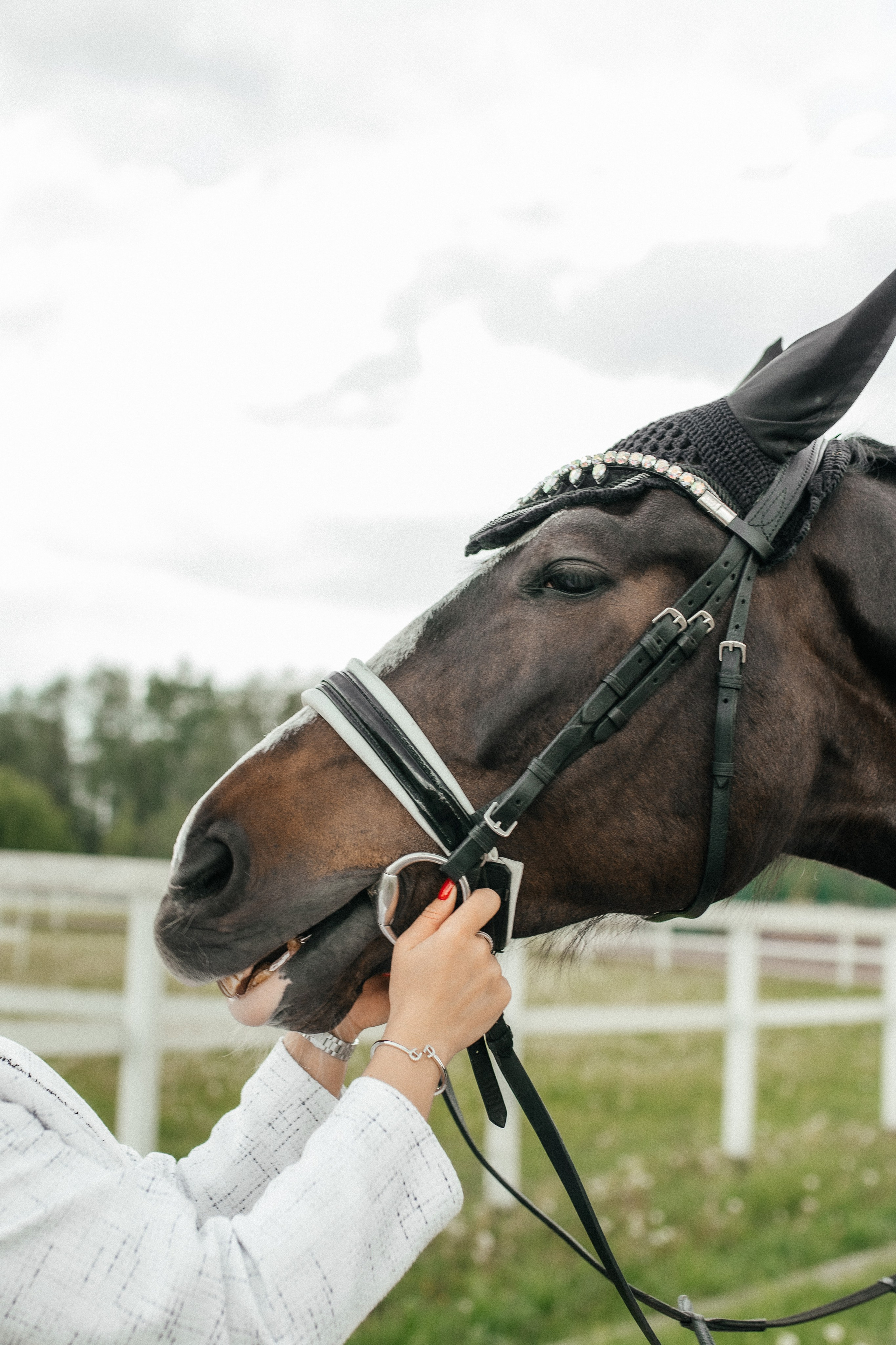 Конная прогулка. Тома и Кеша. Профессиональный фотограф, Москва |Видное Елена Елизарова