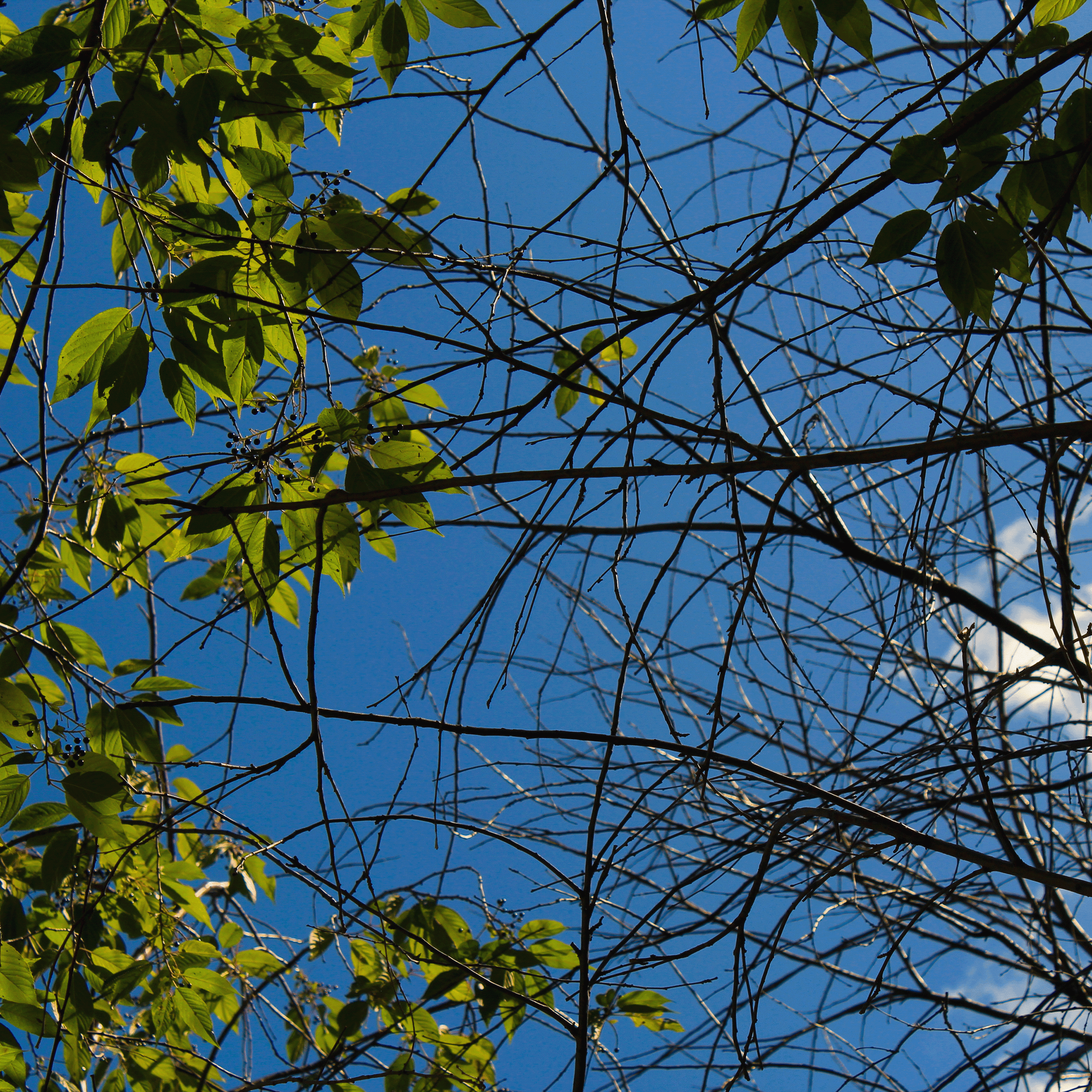 Summertime. Фотограф/дизайнер в Екатеринбурге Хитрый Дмитрий